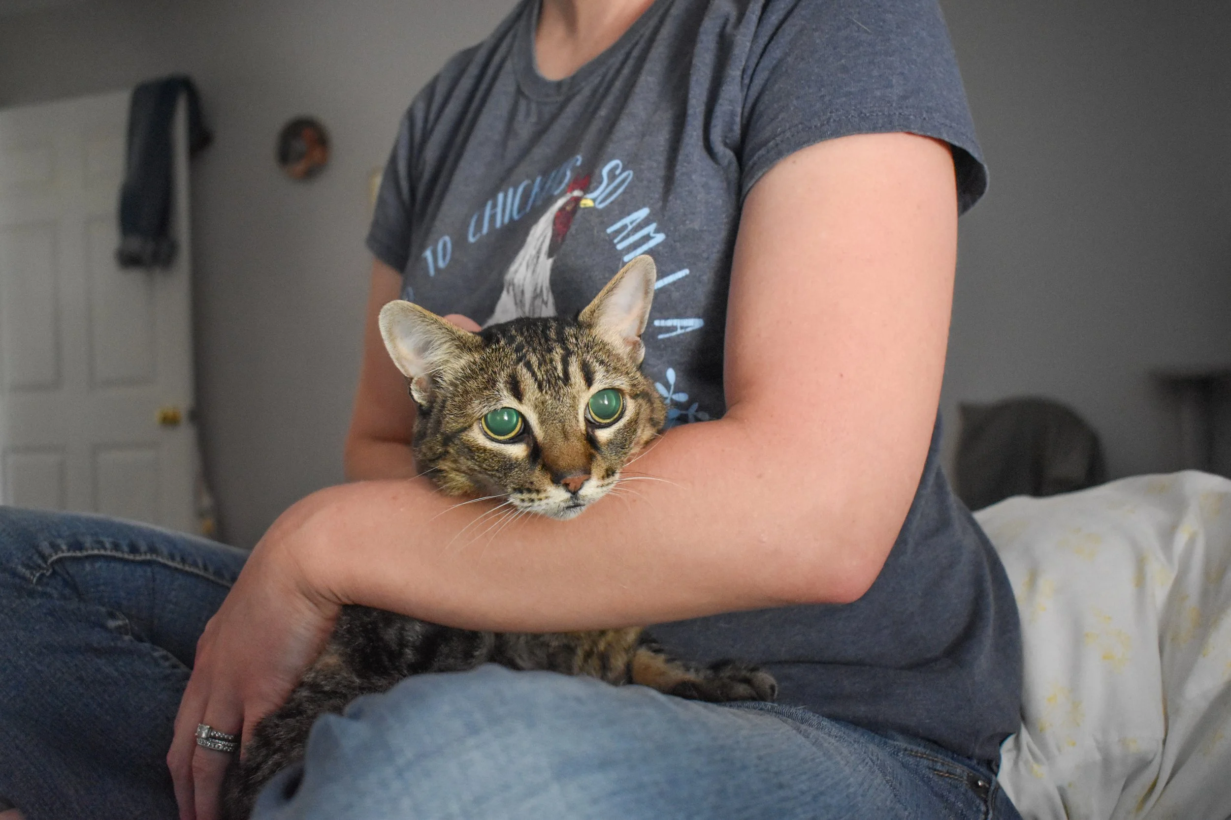 Jessie, Cats, & Bunnies-07.jpg