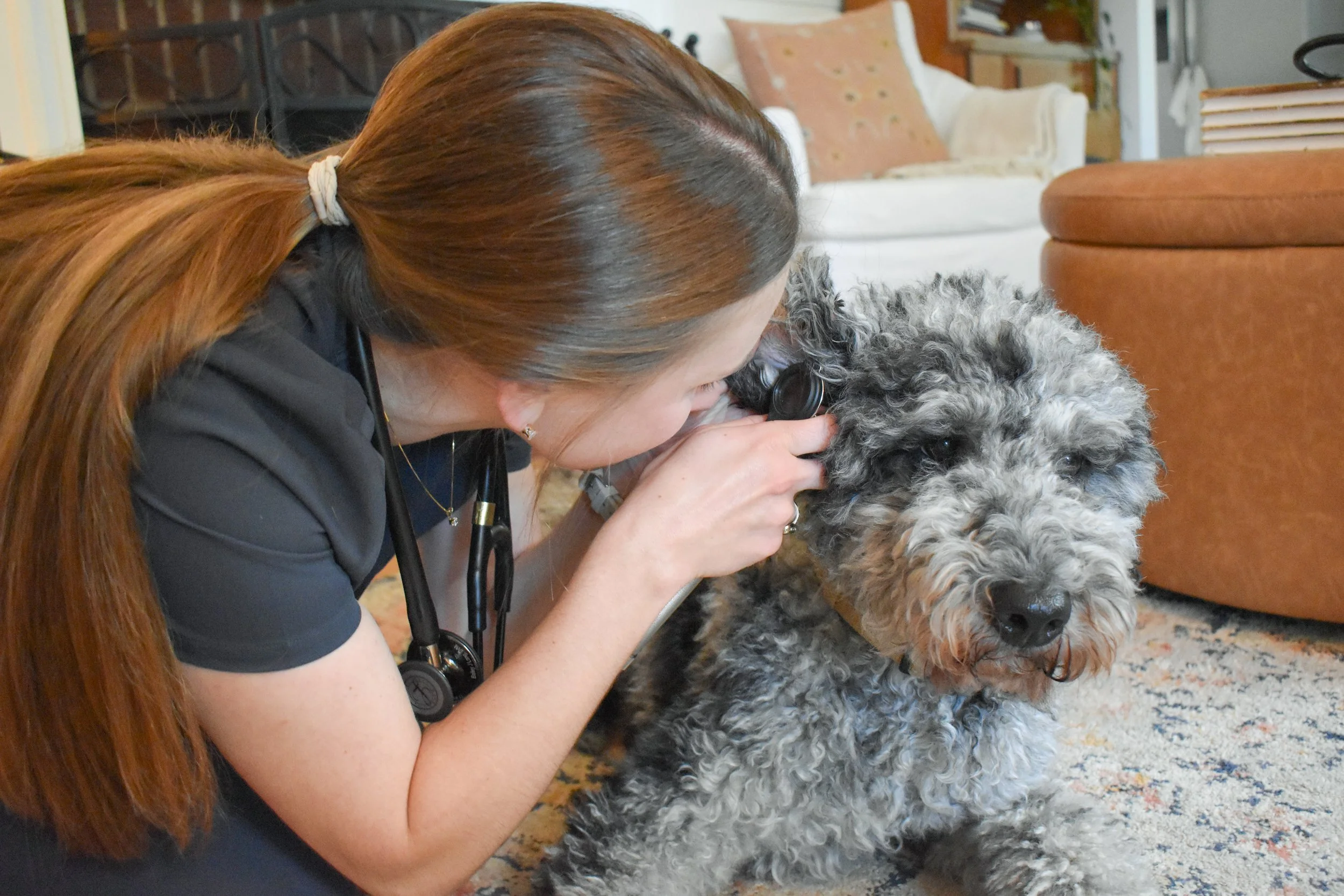 Abby & Charlie-22.jpg