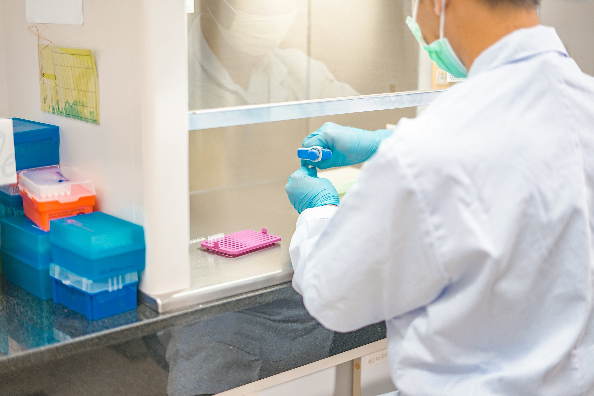 A healthcare worker wearing blue gloves, a face mask, and a white lab coat working in a laboratory, preparing a sample under a fume hood or laminar flow hood with various lab supplies around.