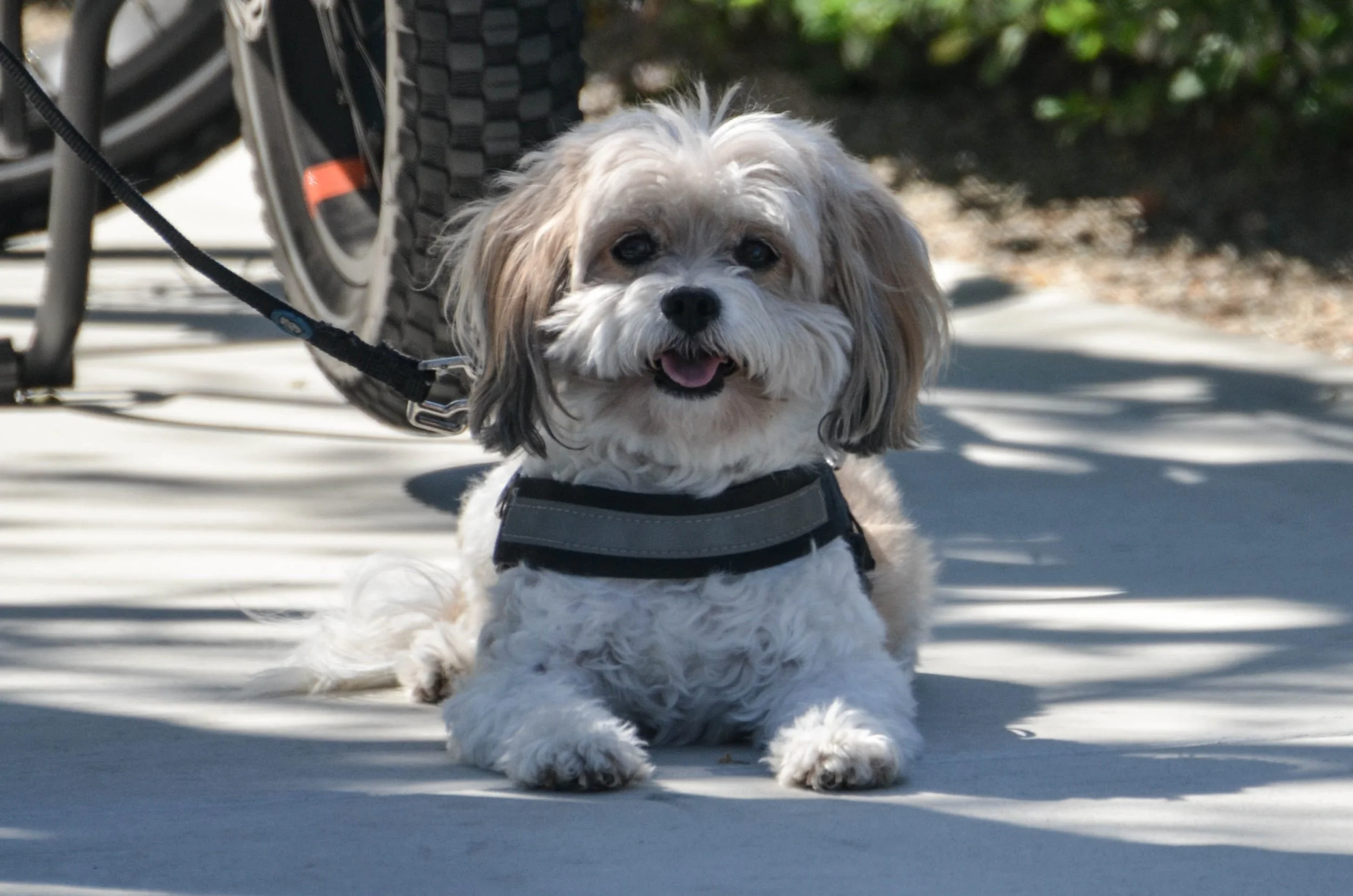 DSC_9258.jpg