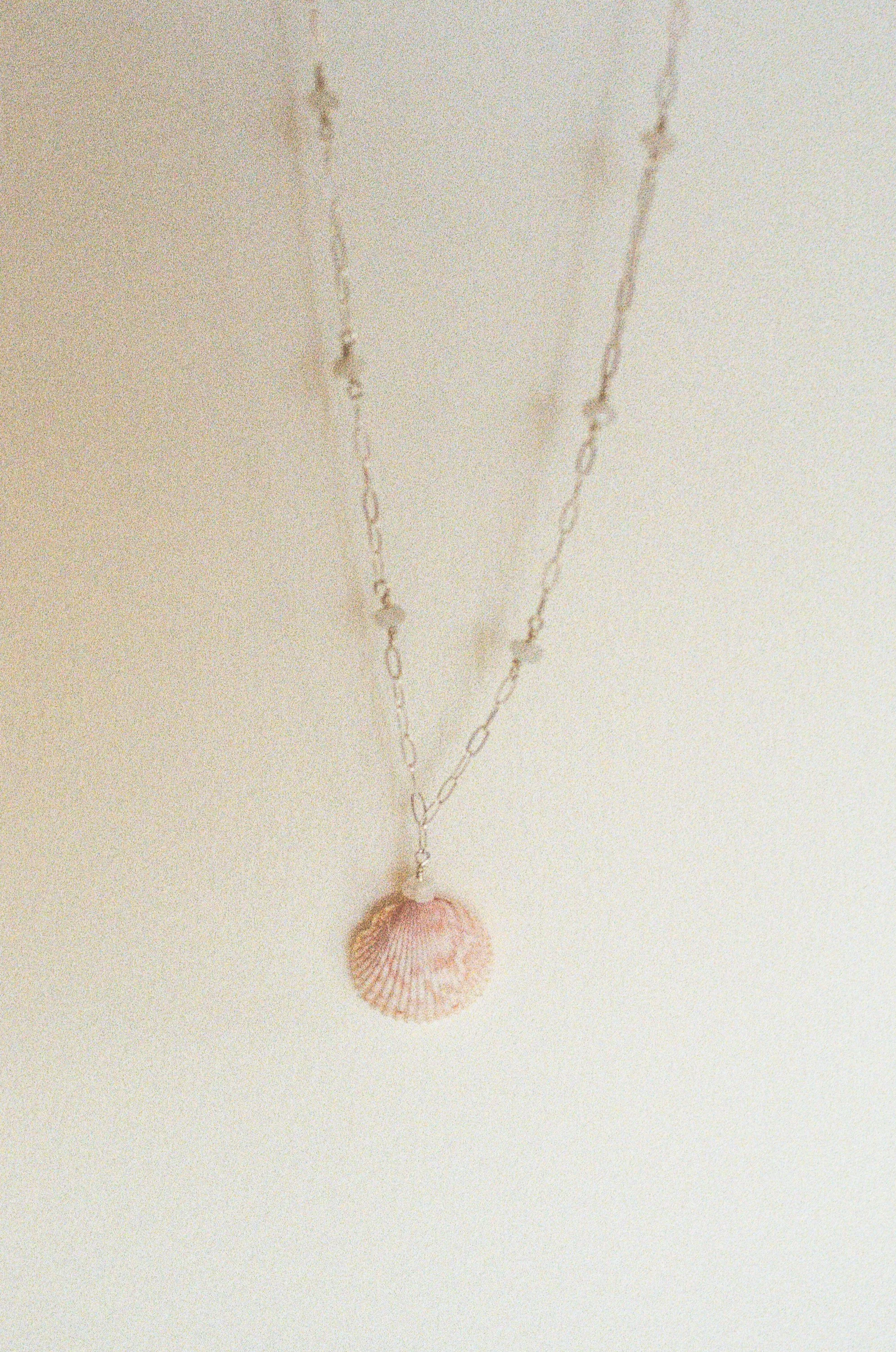 Seashell Elegance Necklace