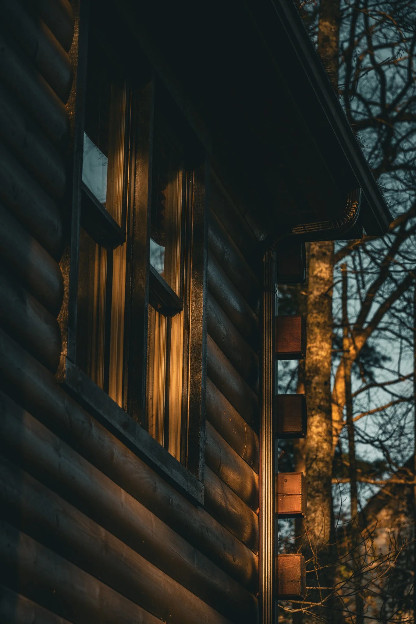 Close-up view of a wooden house's exterior wall with a window, a gutter, and tree branches in the background during dusk.