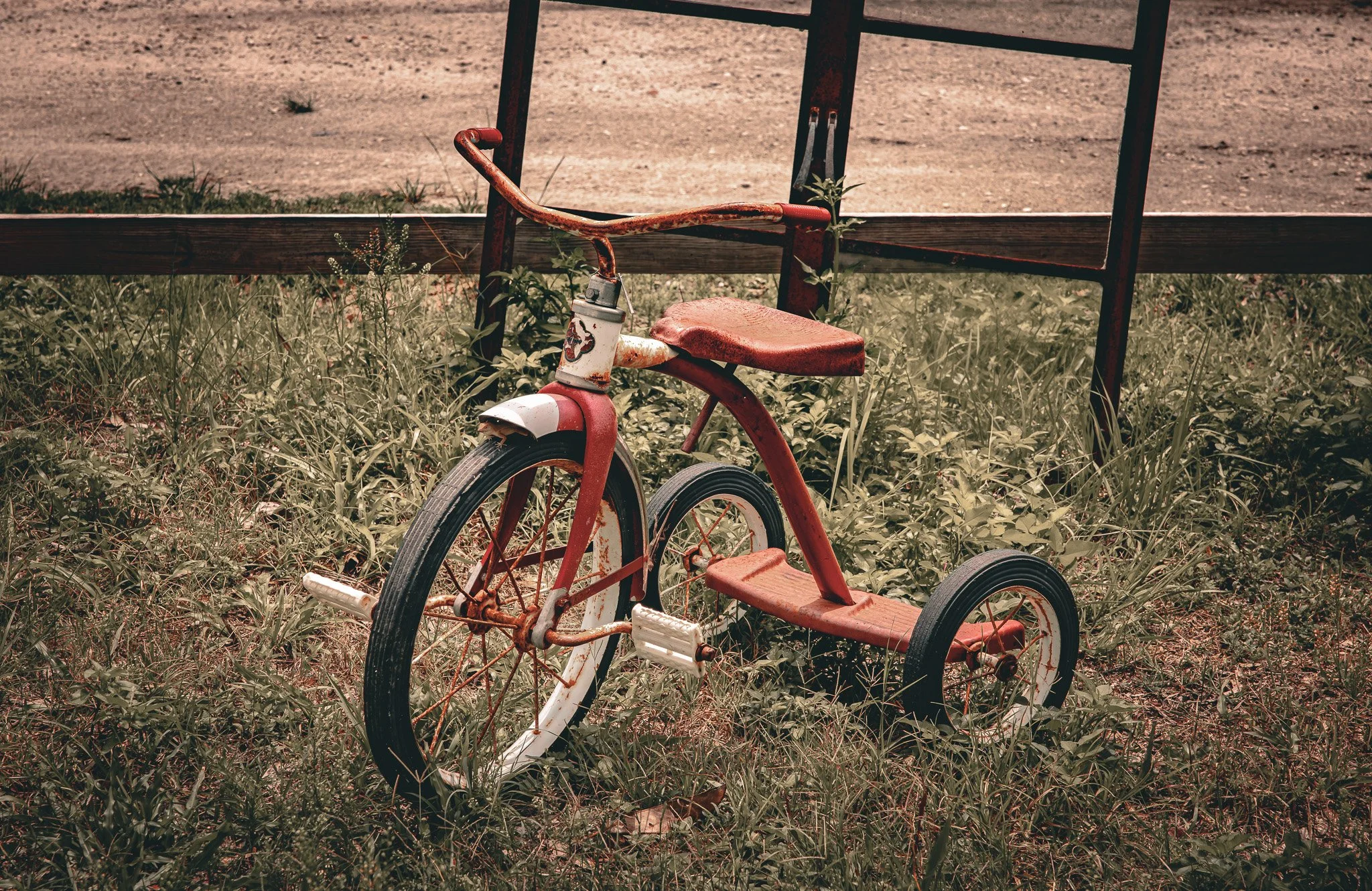 An old, rusted red children’s tricycle with black tires, abandoned in overgrown grass