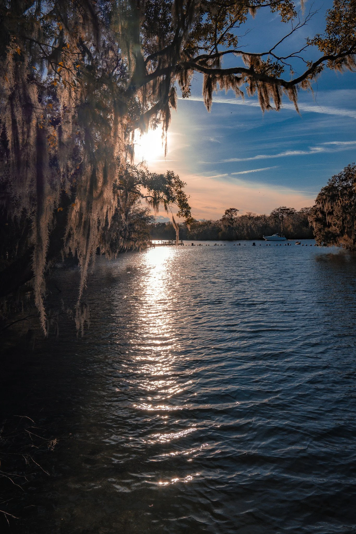 Sunset over a calm lake with trees draped in Spanish moss on the shoreline, reflecting sunlight on the water, and a boat in the distance.