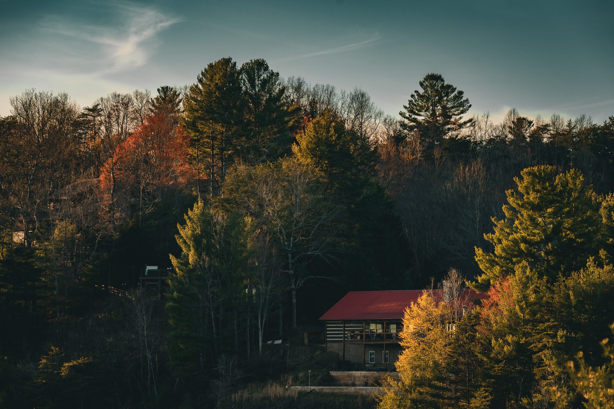 A forested hillside with a mix of evergreen and deciduous trees, a red-roofed house at the bottom, and a cloudy sky overhead during the day.