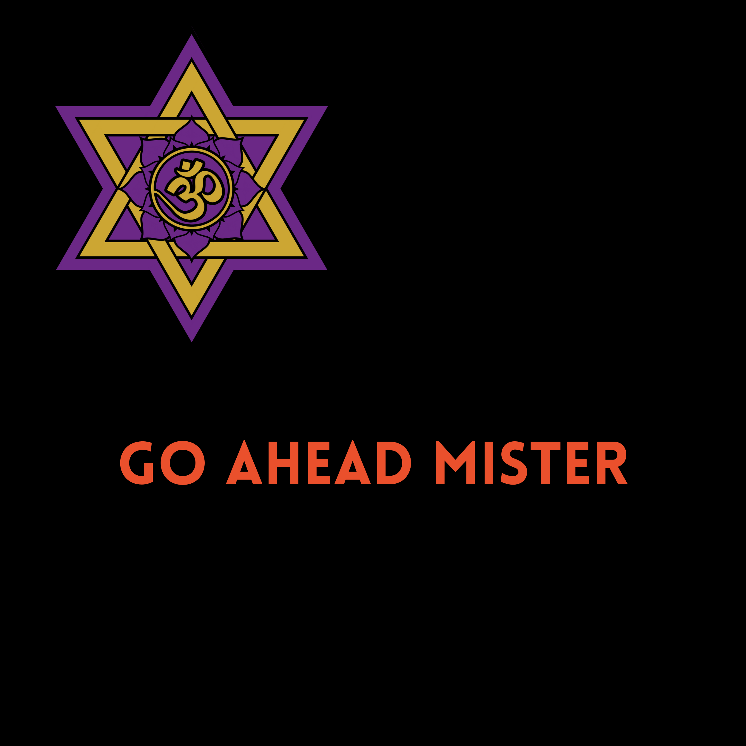 13 - GO AHEAD MISTER FEAT ATTIKUS