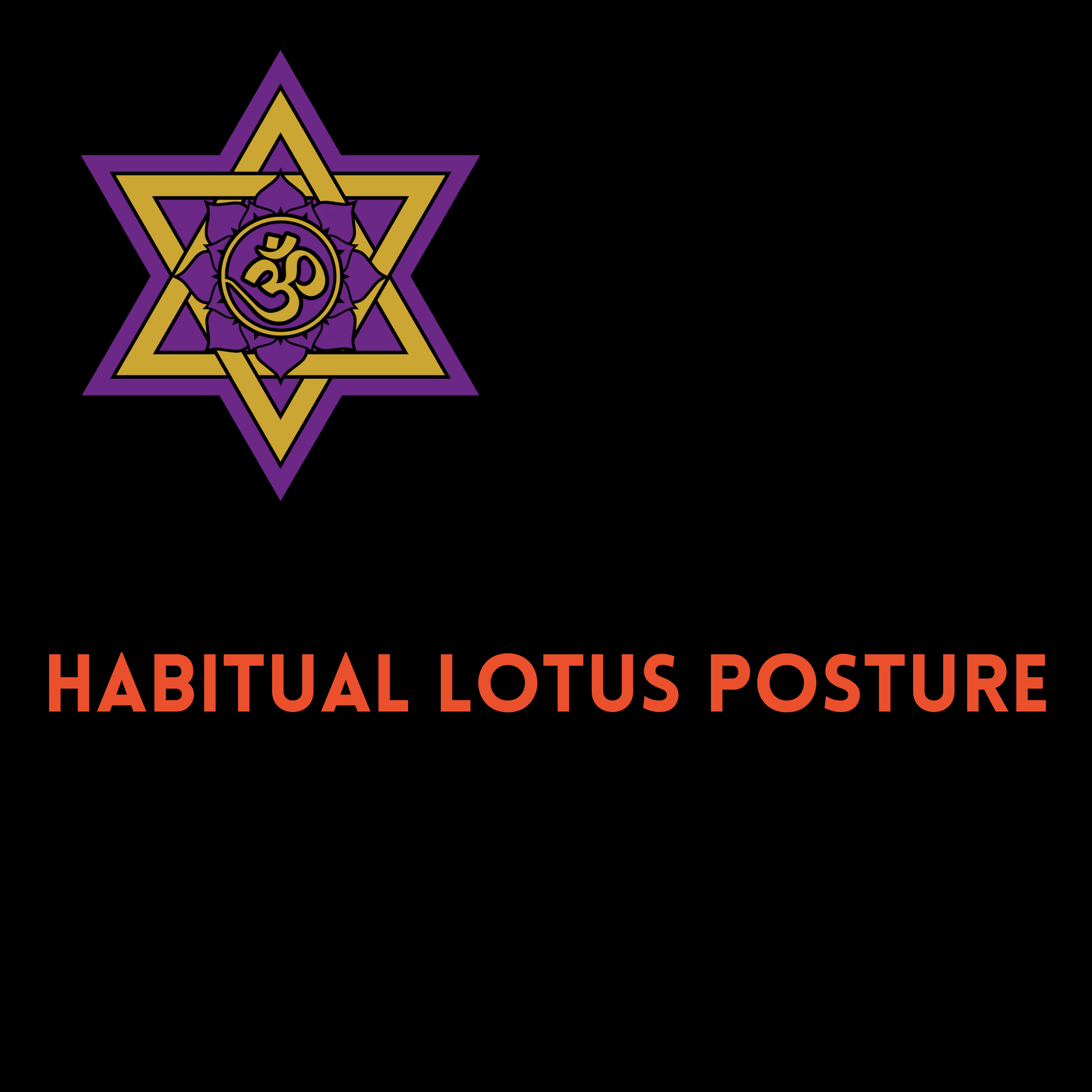 12 - HABITUAL LOTUS POSTURE FEAT. GEMINEYE