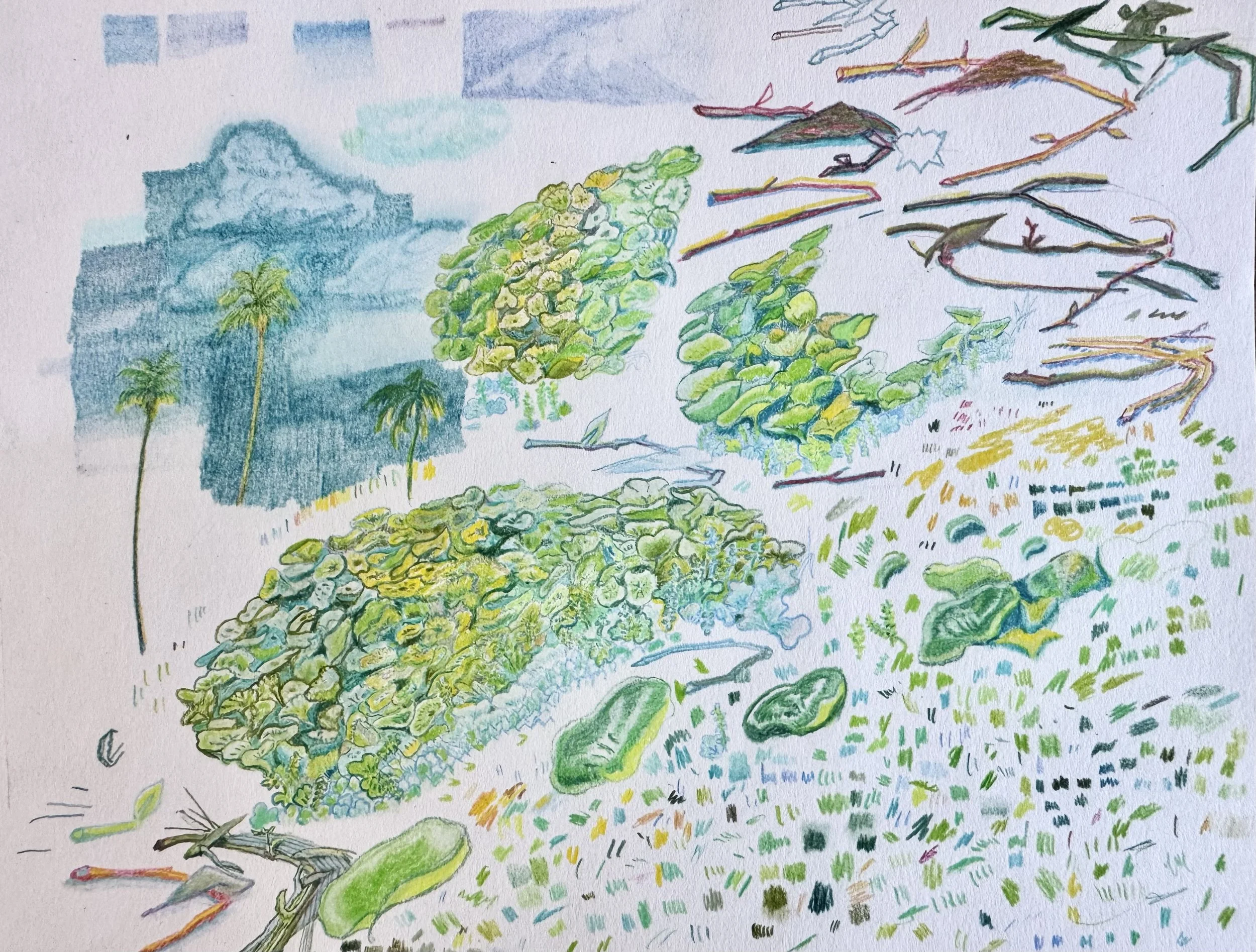 echo park study 1
