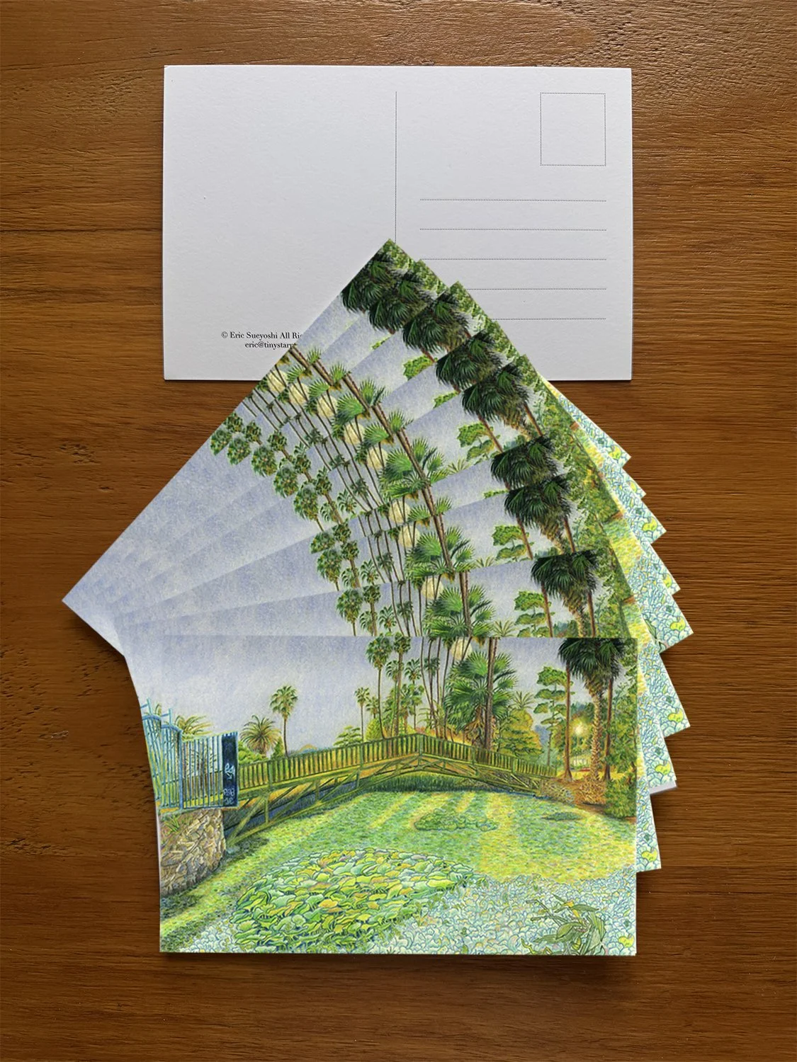 master Echo Park card layoutpg.jpg