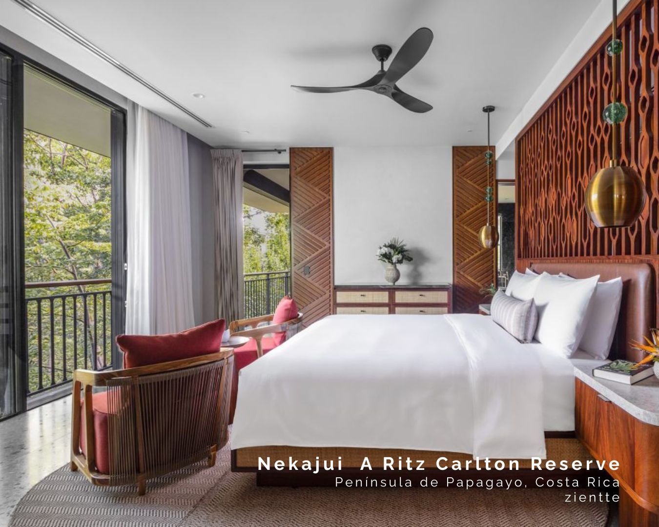 WhatsApp Image 2025-12-16 at 11.37.15.jpeg