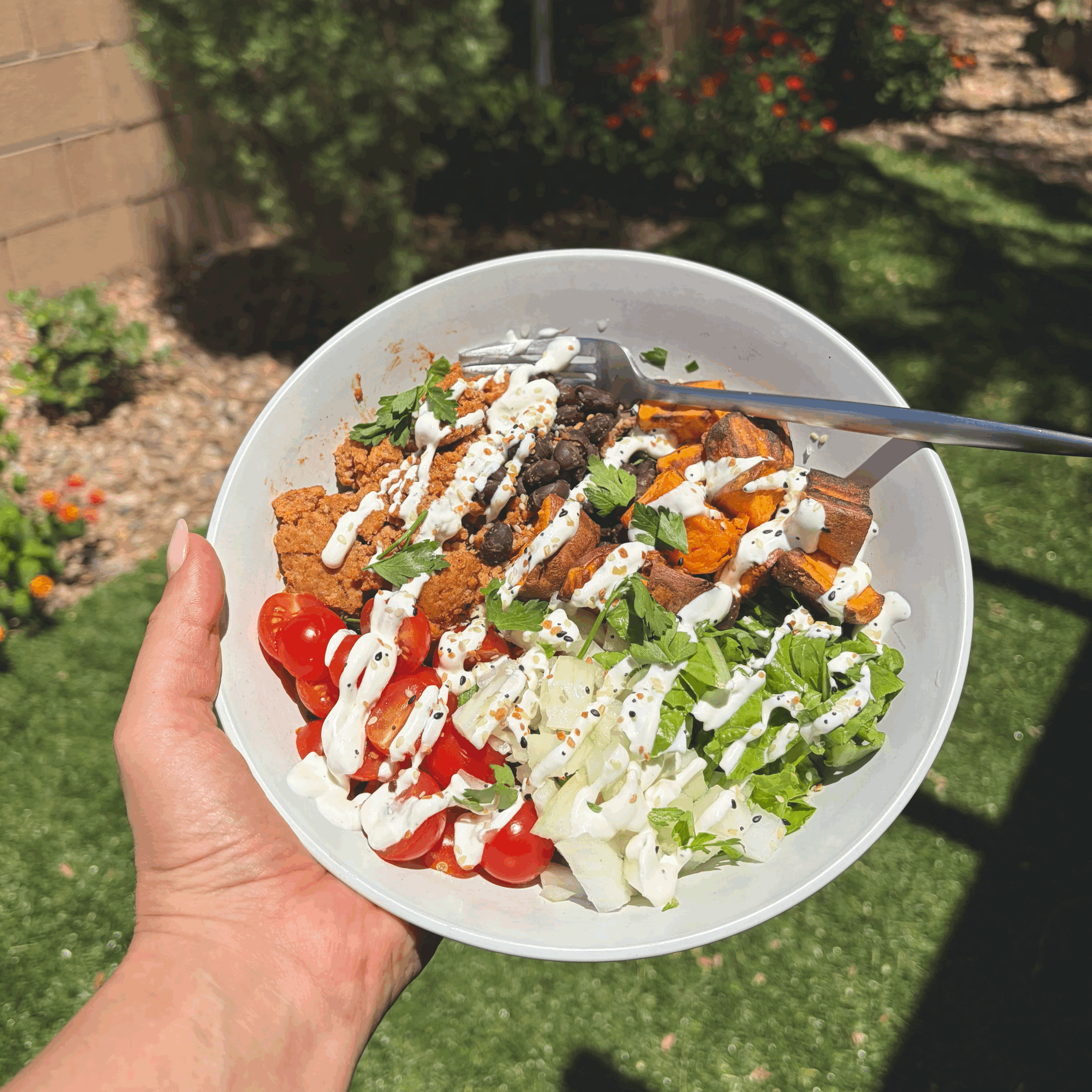  taco bowl