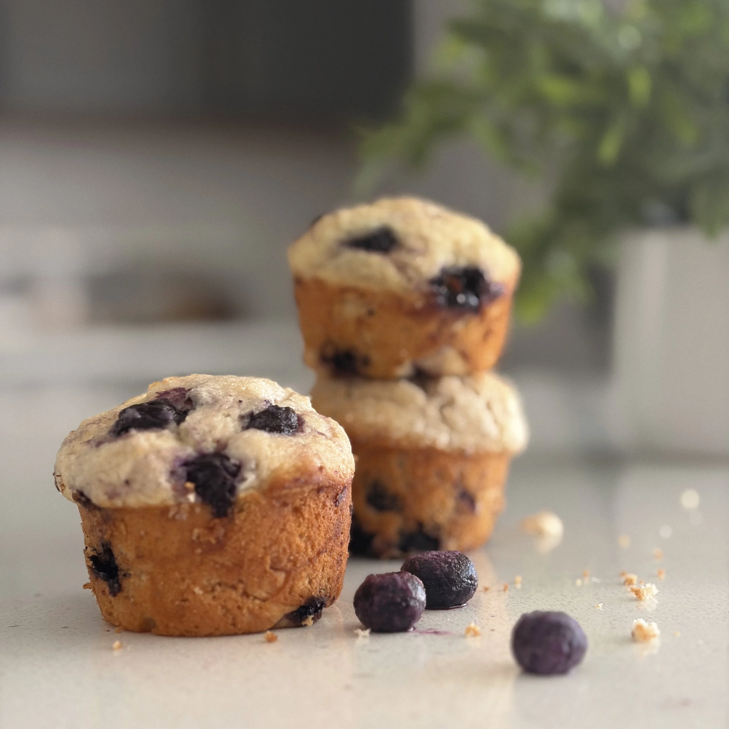 lemon blueberry muffins