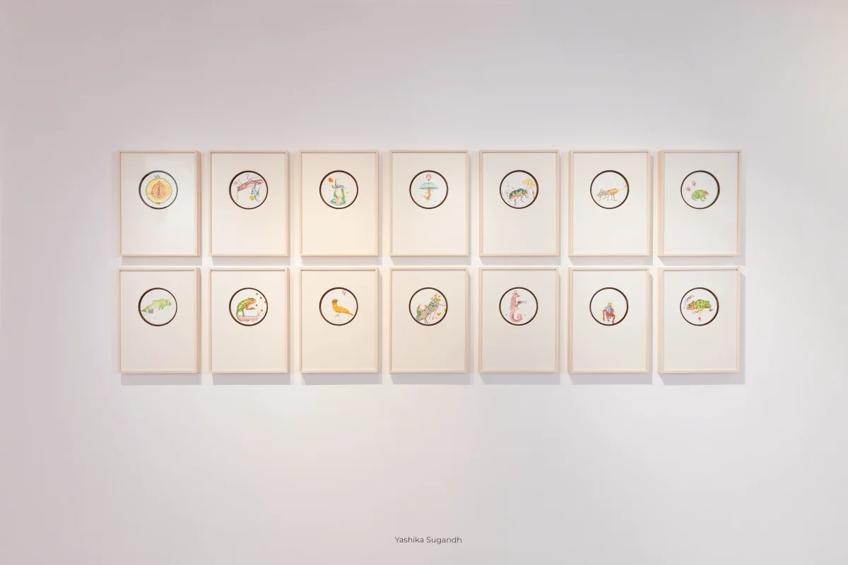 Objects May Appear Softer