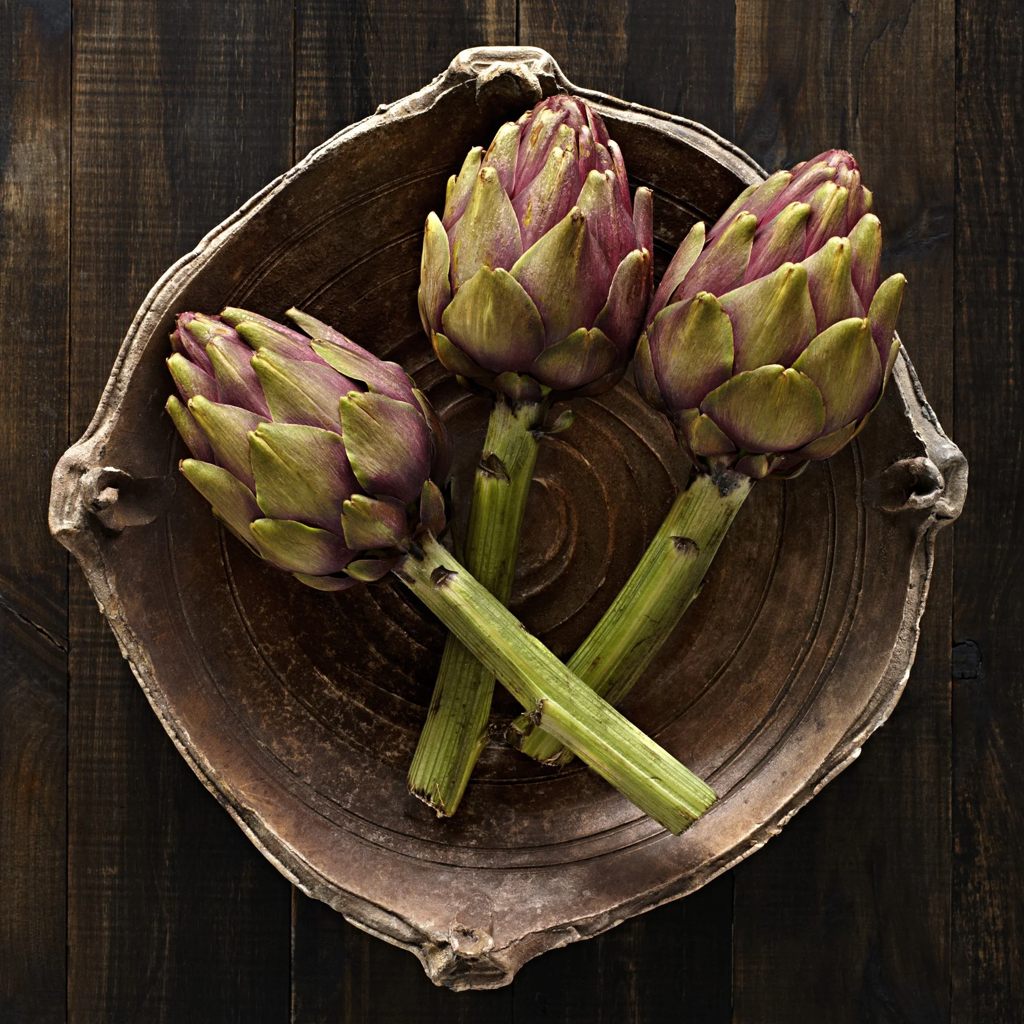 WEB_B&L-Cameo-Artichokes---v2.jpg