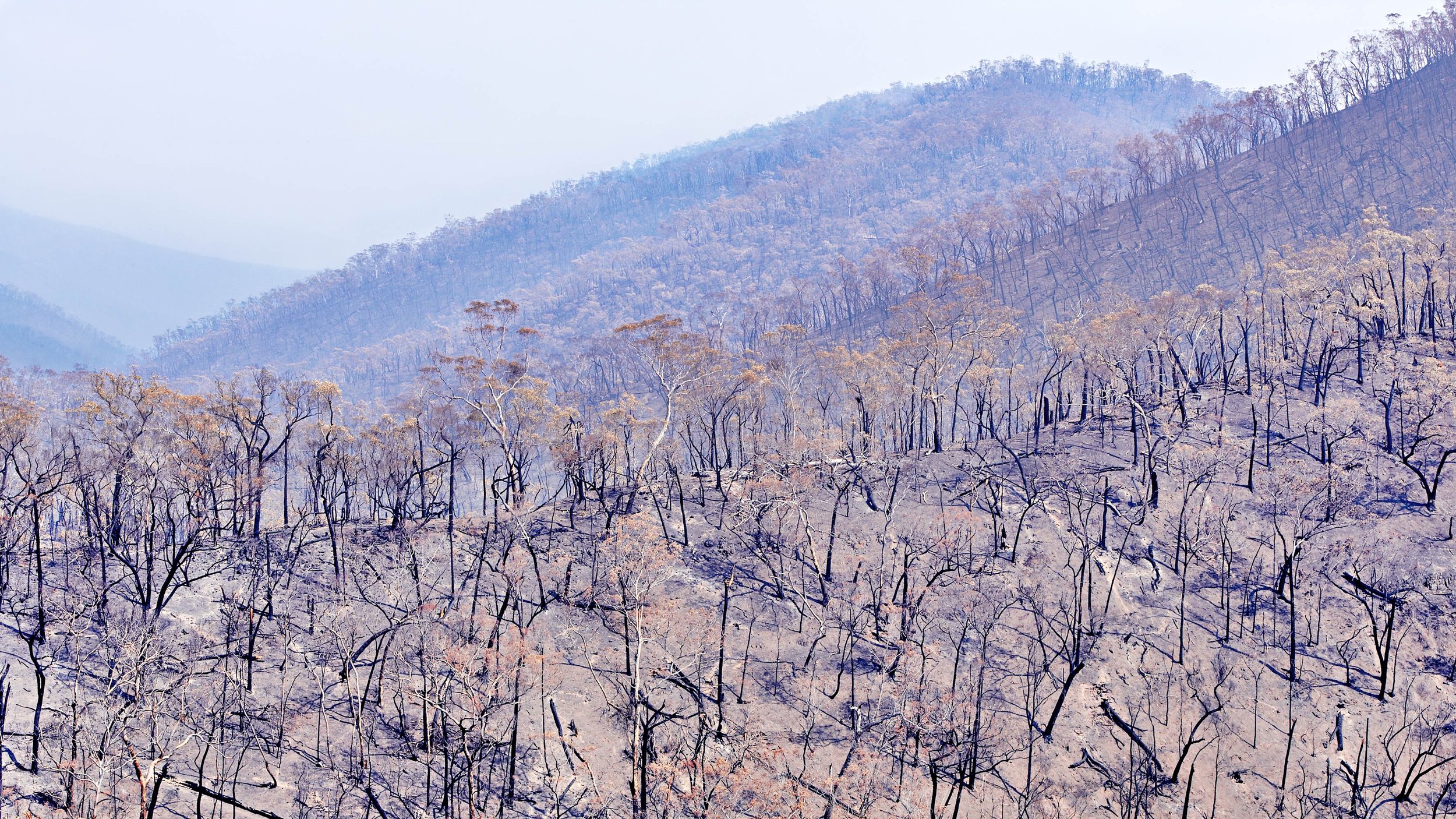 WEB_LACOLA-FIRES-Hill-Side.jpg