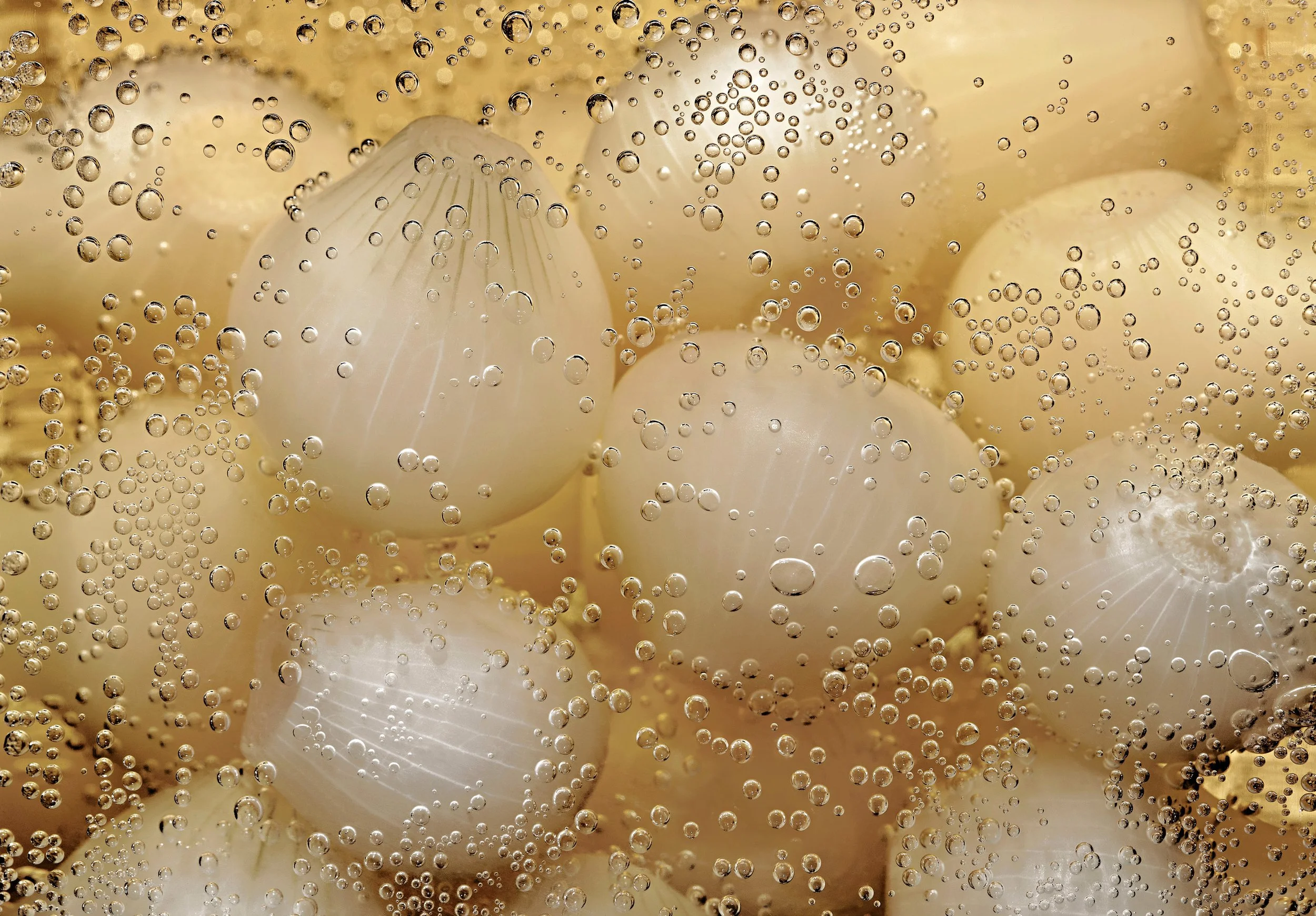 WEB_FWLRS-Pickled-Onions-v2.jpg