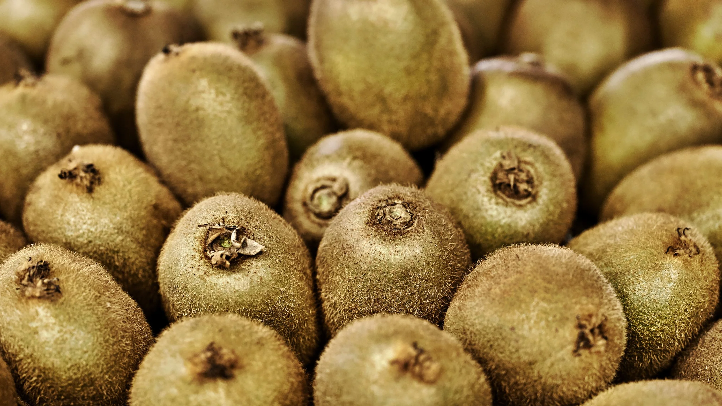 WEB_FVMC-Kiwi-17A.jpg