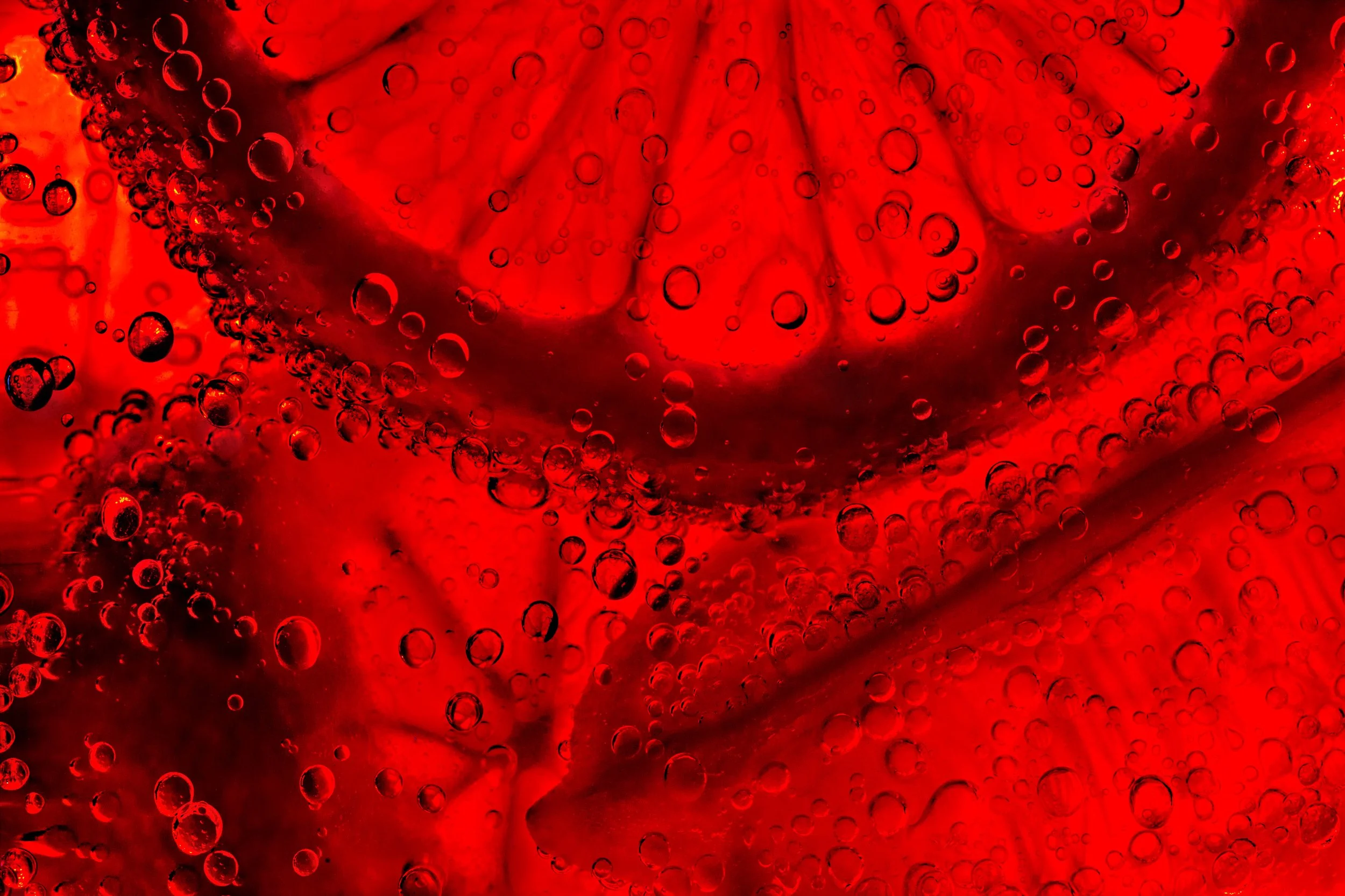 FWLRS-WEB-Citrus-Fruit-PSWL.jpg