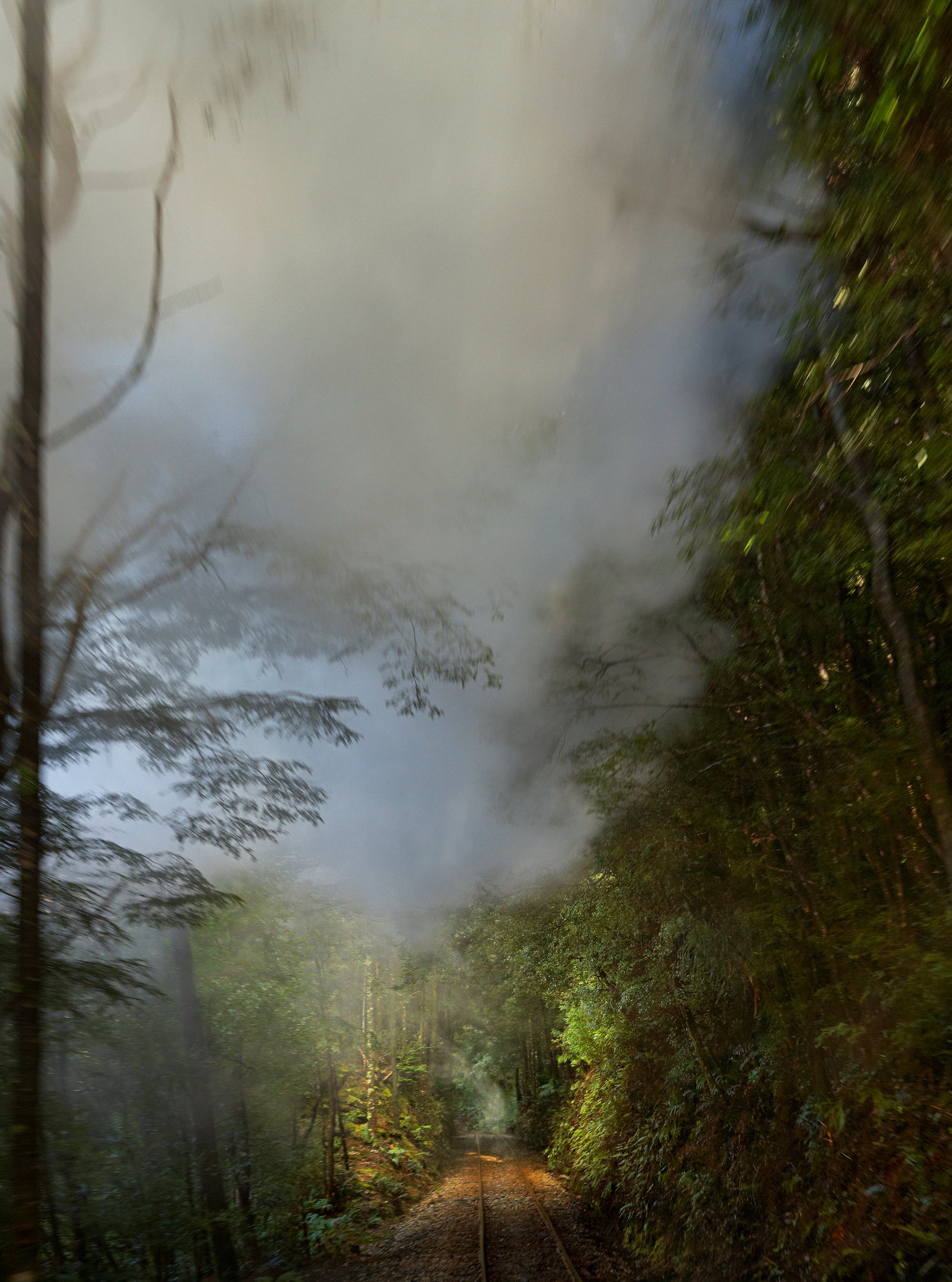 Track & Smoke.jpg