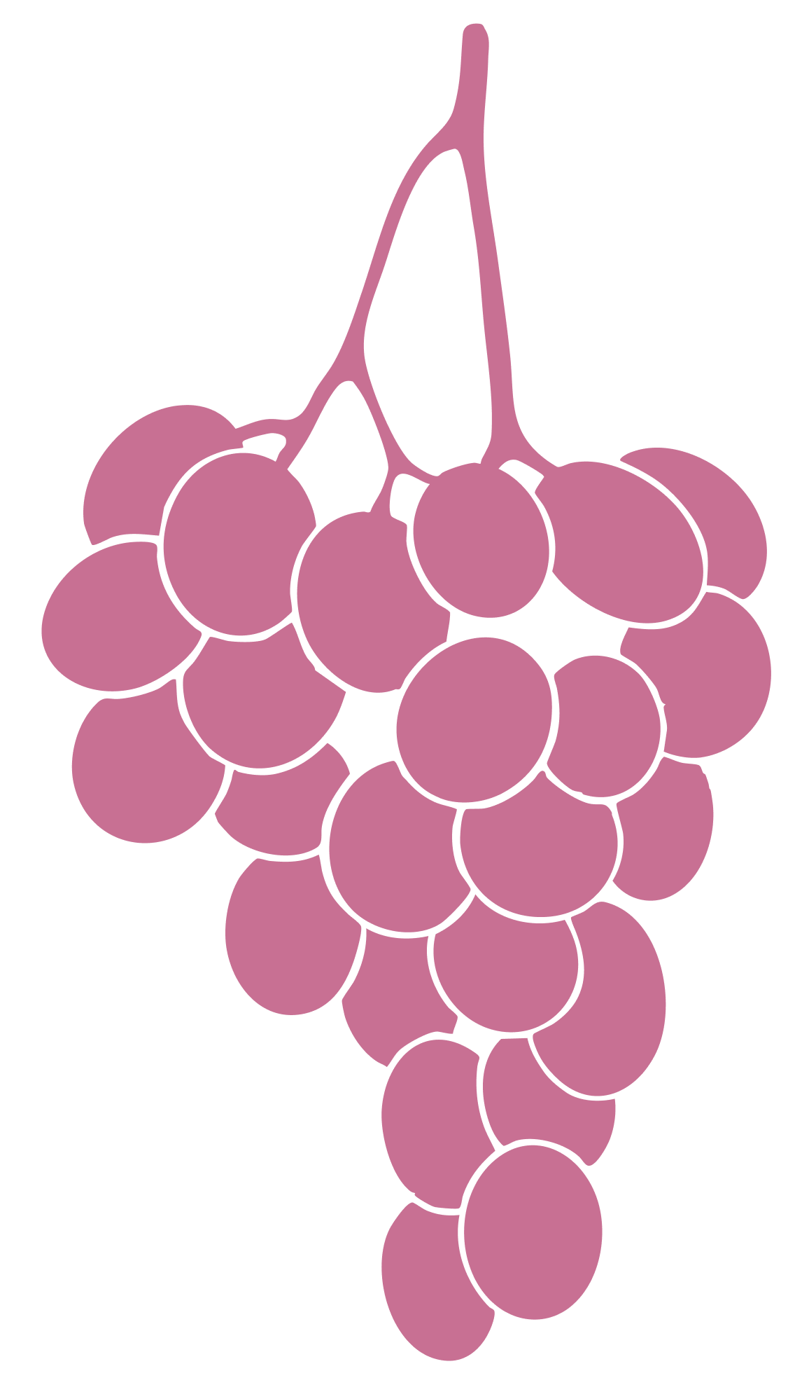 A digital illustration of a bunch of purple grapes with a black background.