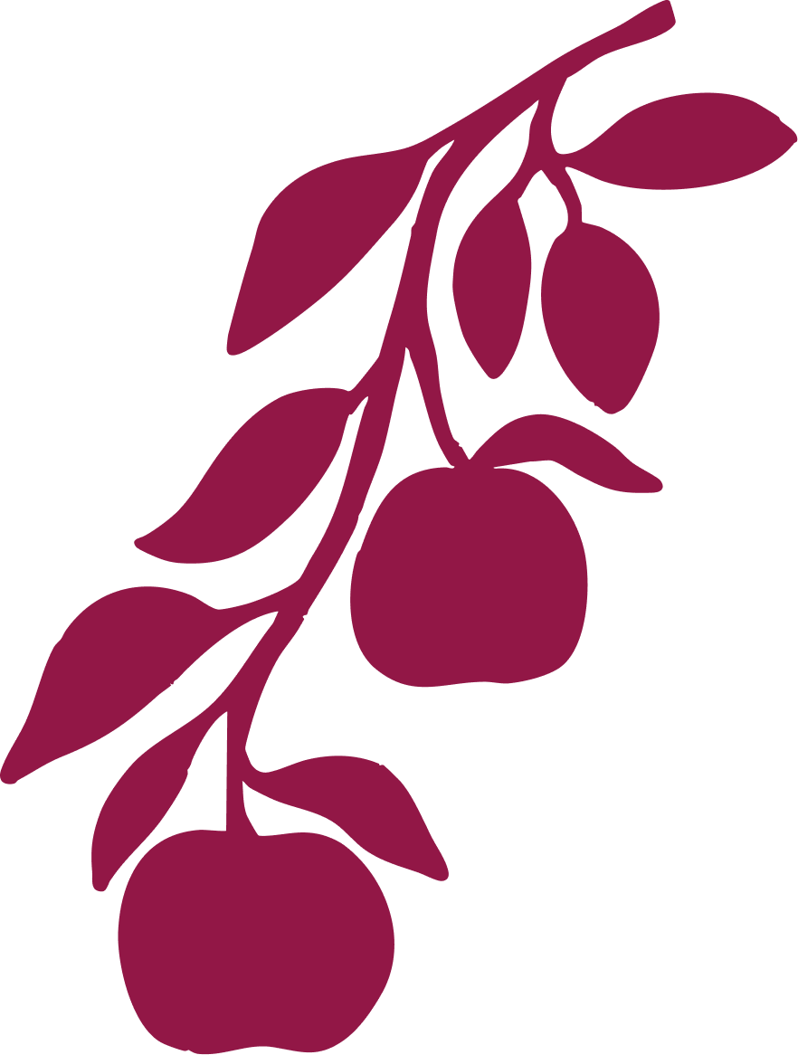Illustration of a branch with leaves and two apples, all in dark red color.