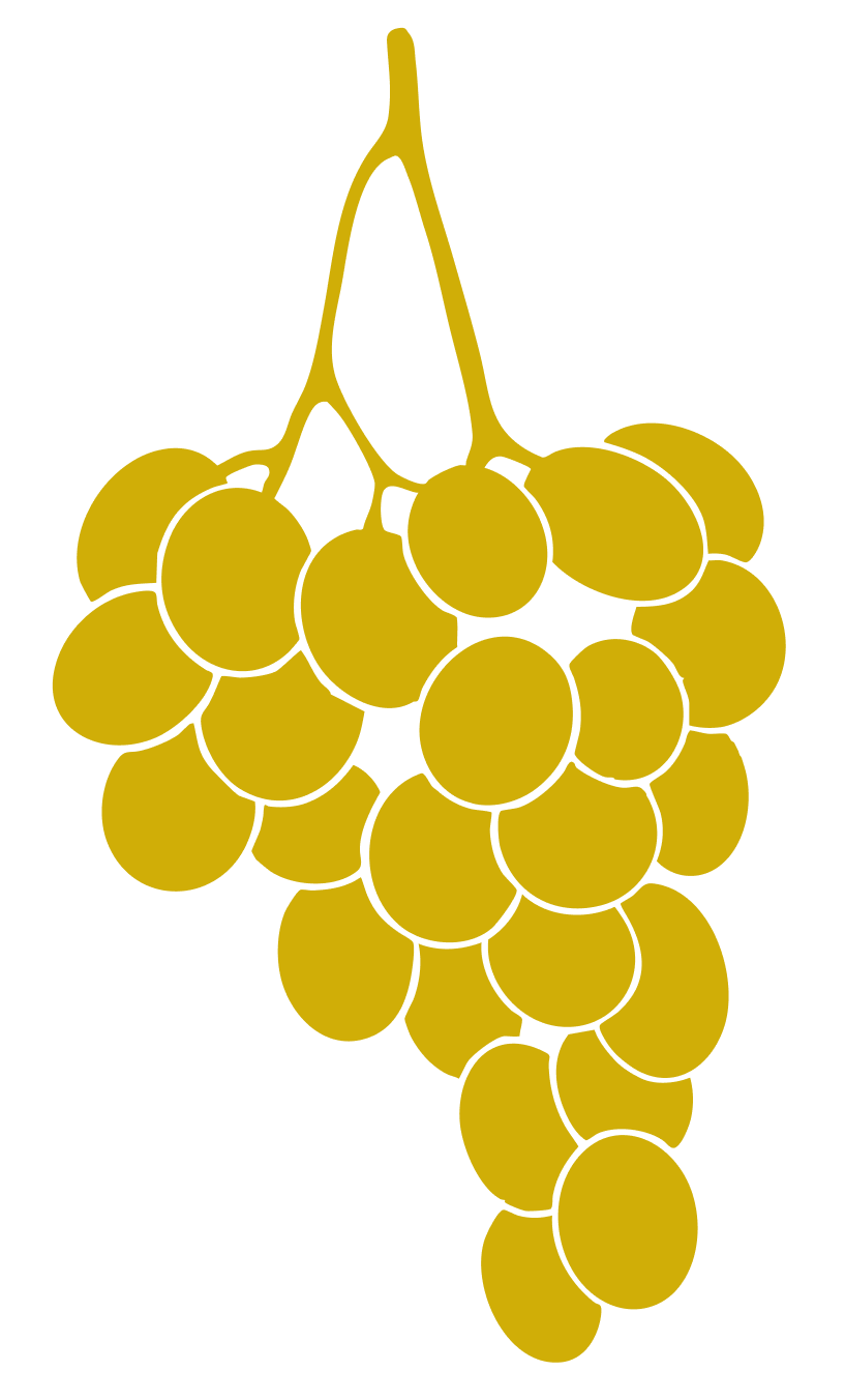Illustration of a bunch of yellow grapes on a vine.