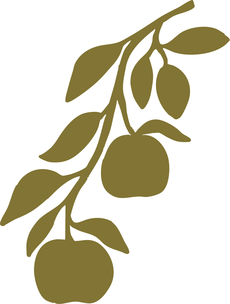 A stylized illustration of a lemon branch with leaves and lemons in an olive green color.