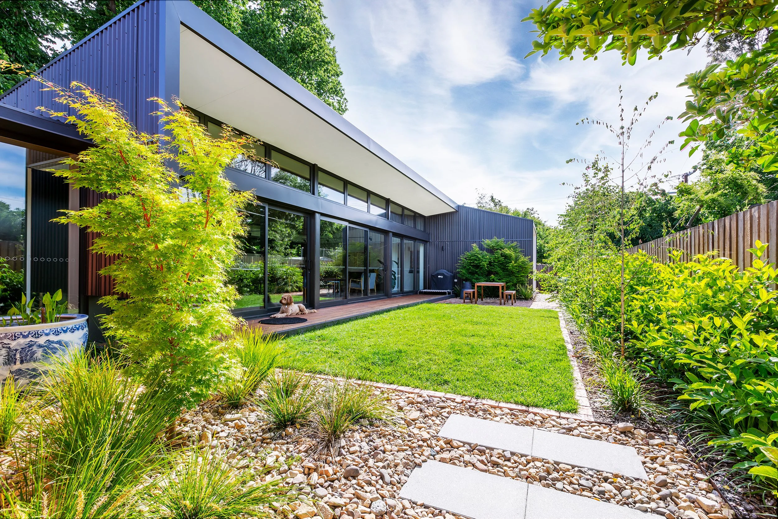 garden green trees family low maintenance