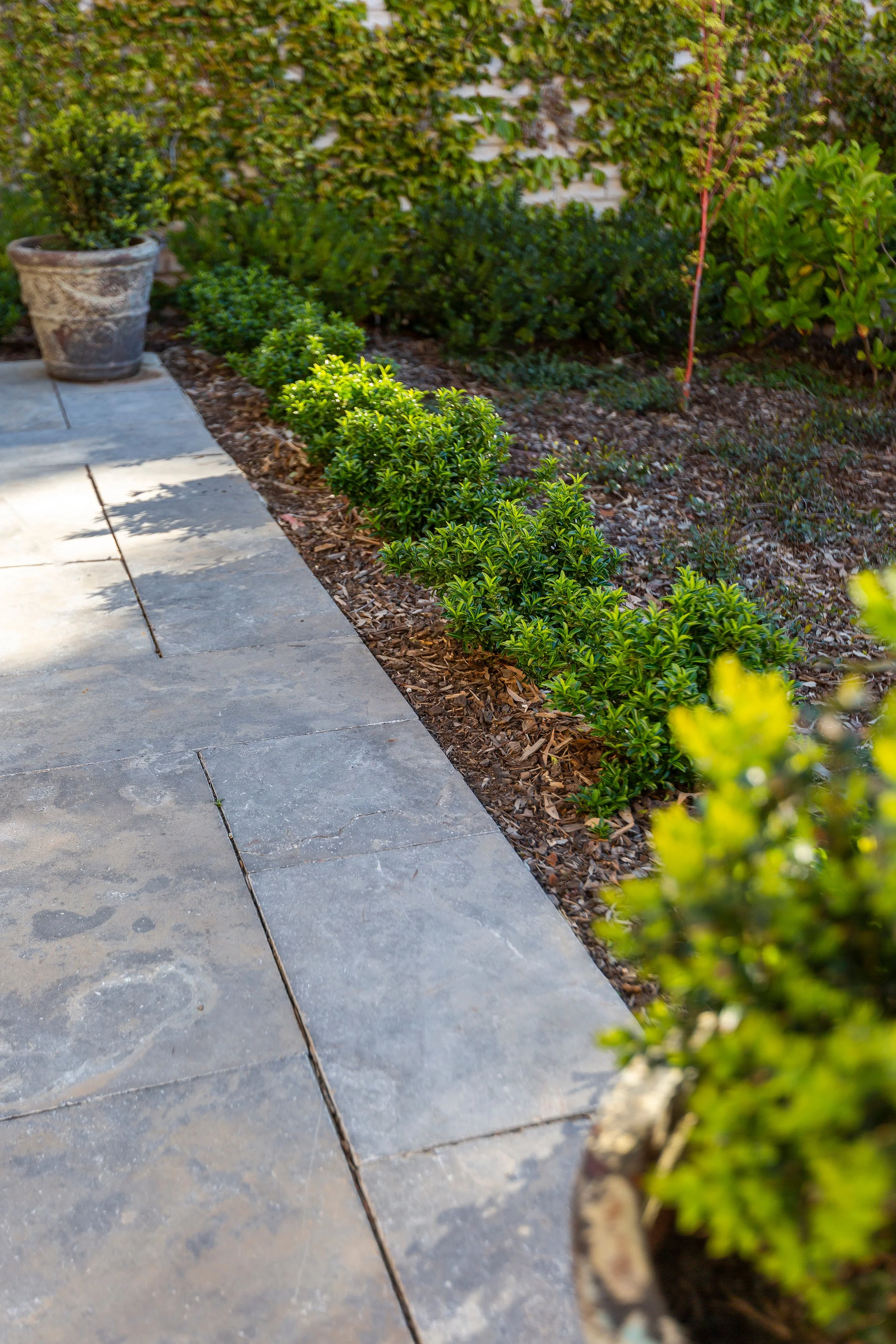 Stone paving 