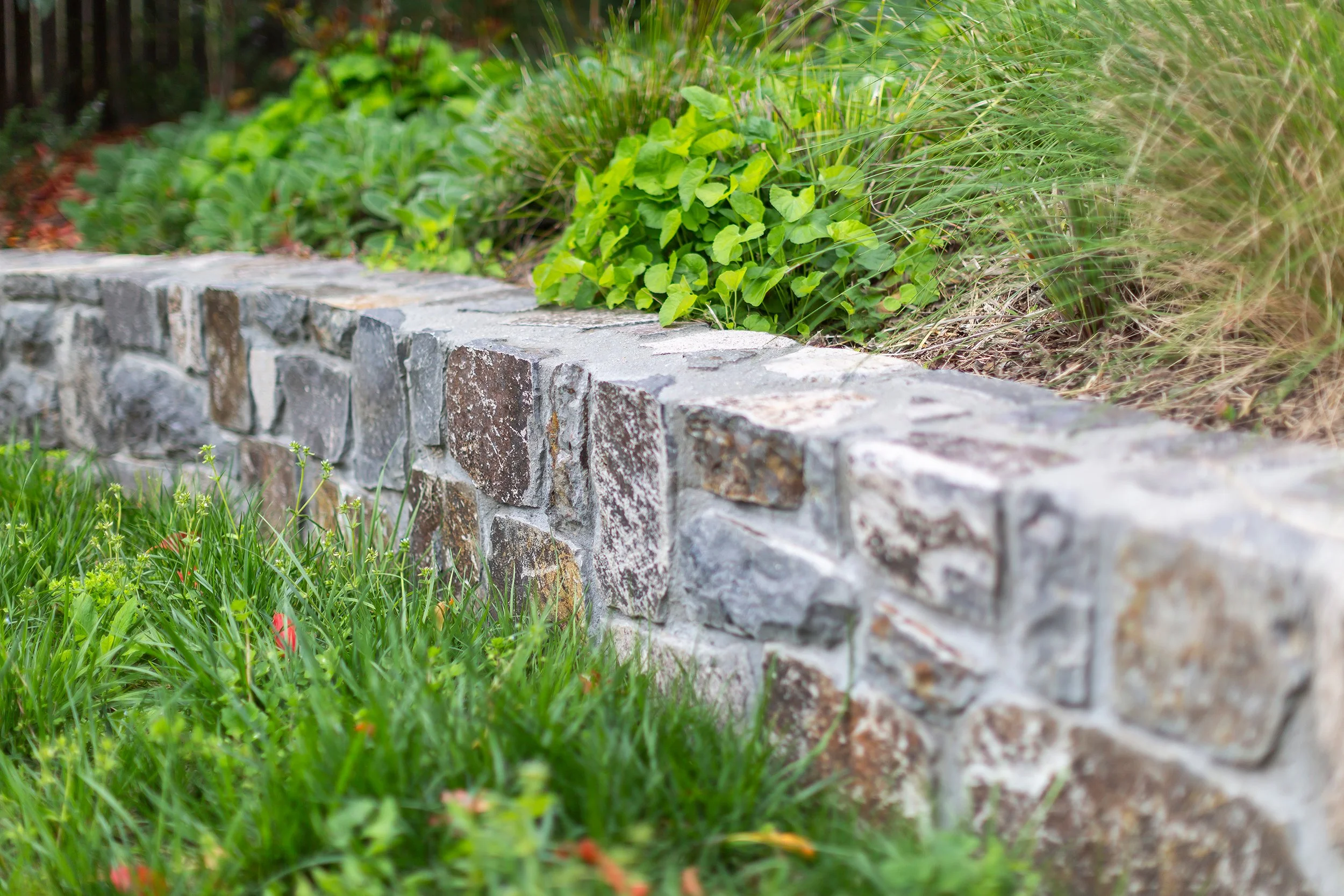 wee jasper stone wall 