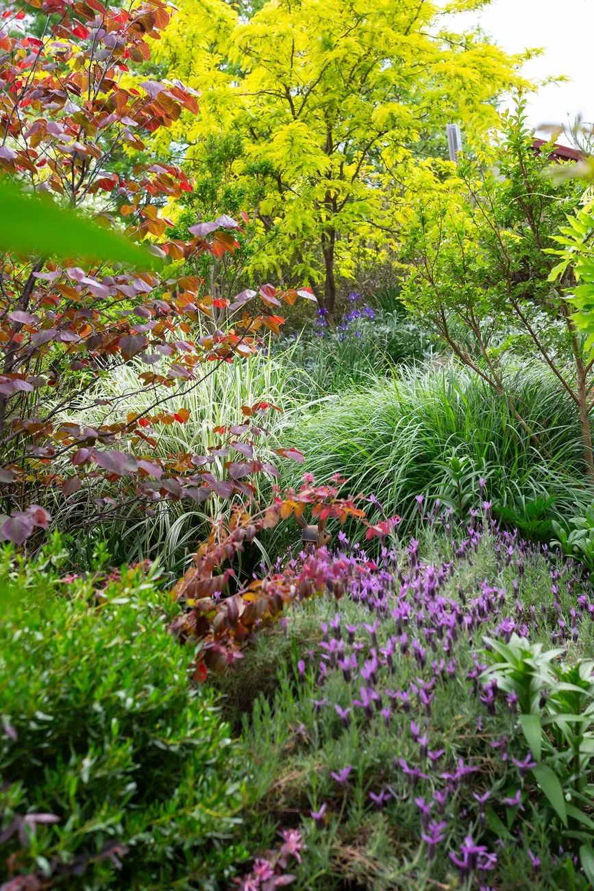 Seasonal colour