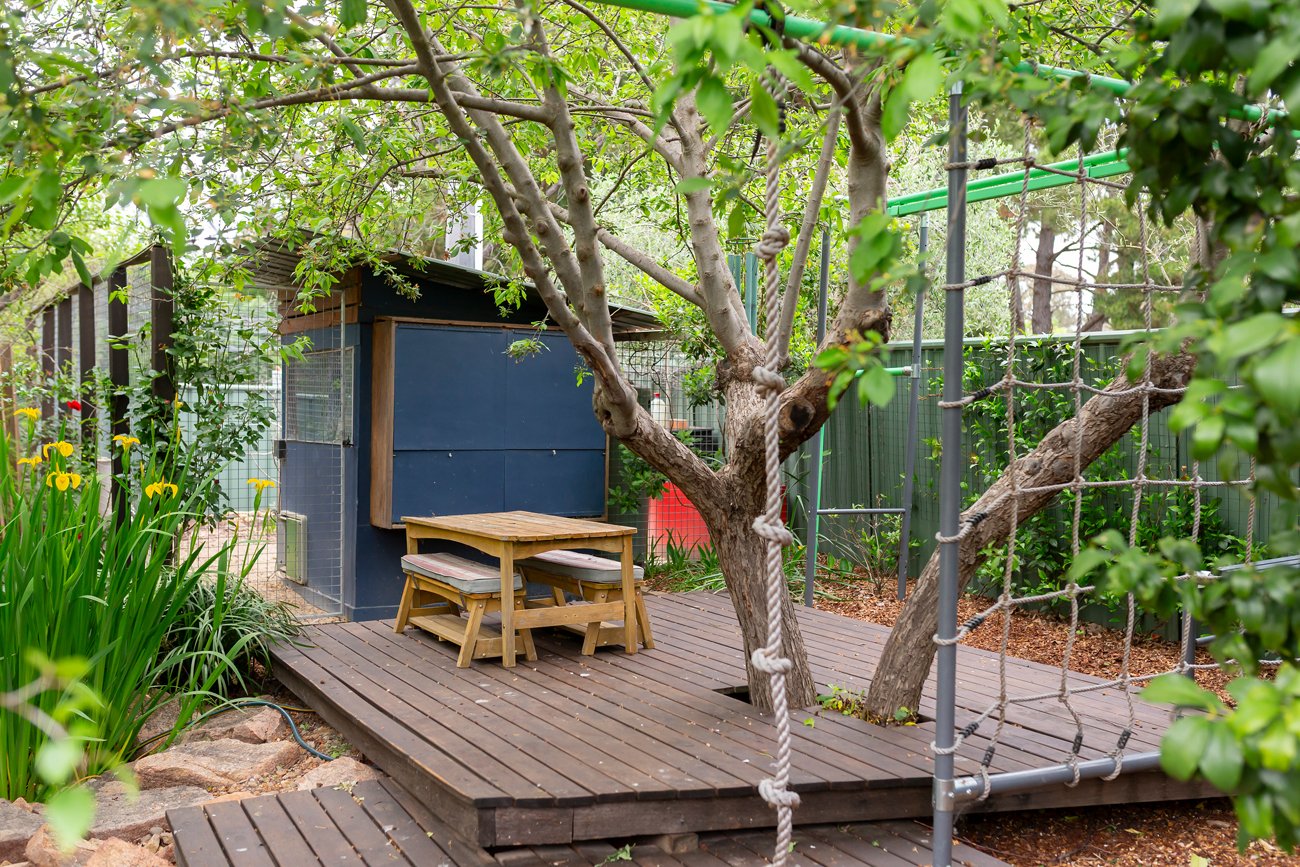 Play around crab apple tree 