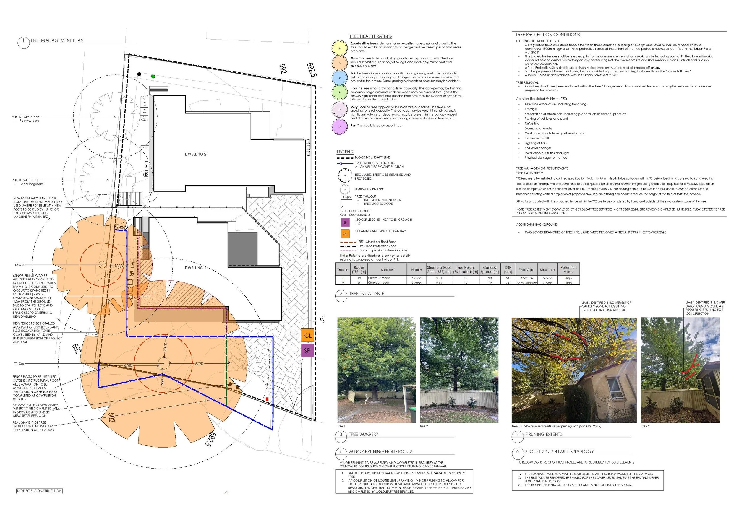 A detailed landscape and tree management plan with site layout, tree protection zones, and photos of two trees for pruning and maintenance.