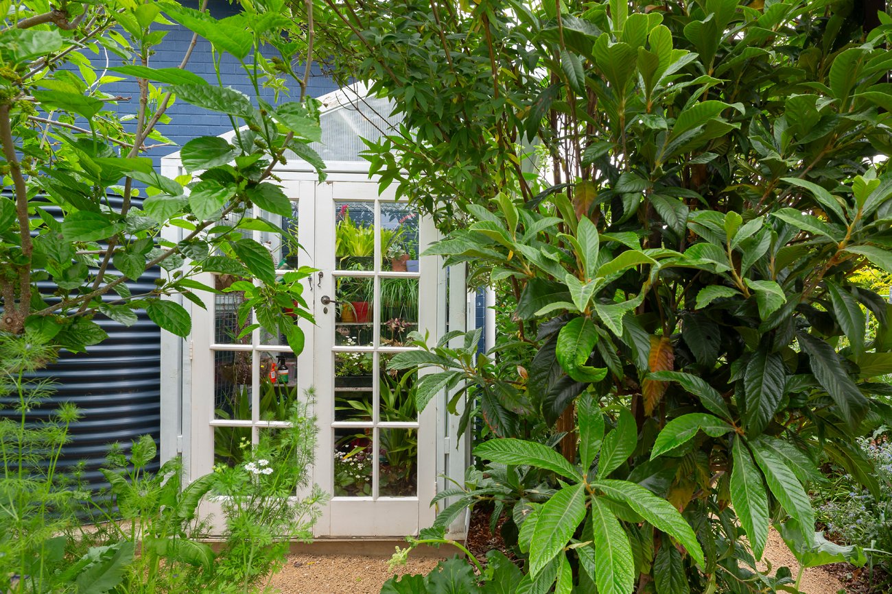Greenhouse