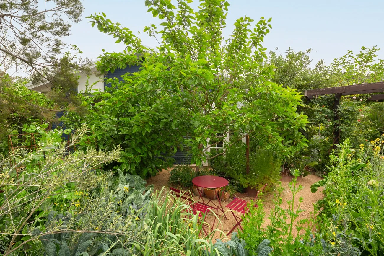 Vegetable gardens 
