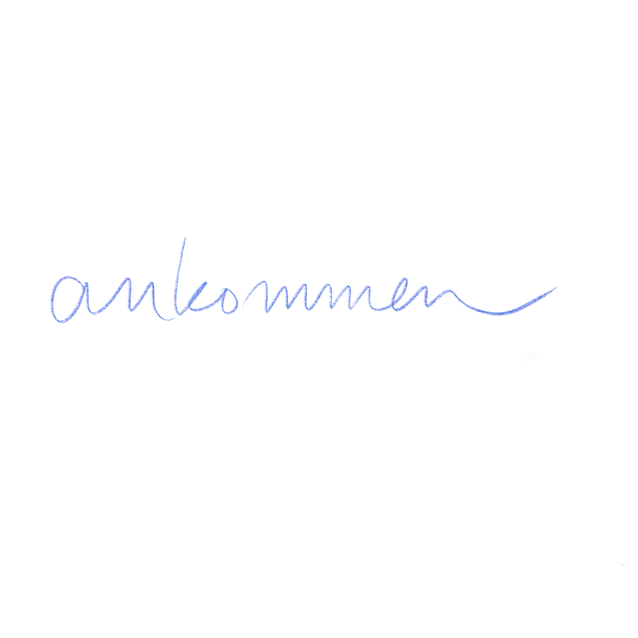 Das Bild zeigt das Wort 'ankommen' in blauer Handschrift auf hellem Hintergrund.