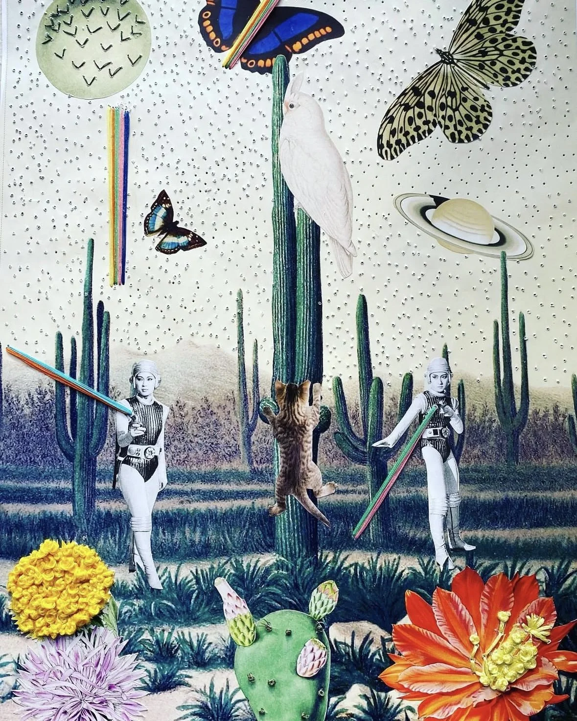 A colorful collage of desert plants, butterflies, a white bird perched on a cactus, a kitten climbing a cactus, and two women in vintage outfits holding rainbow-colored sticks. There are also flowers at the bottom and a background of cacti and a star