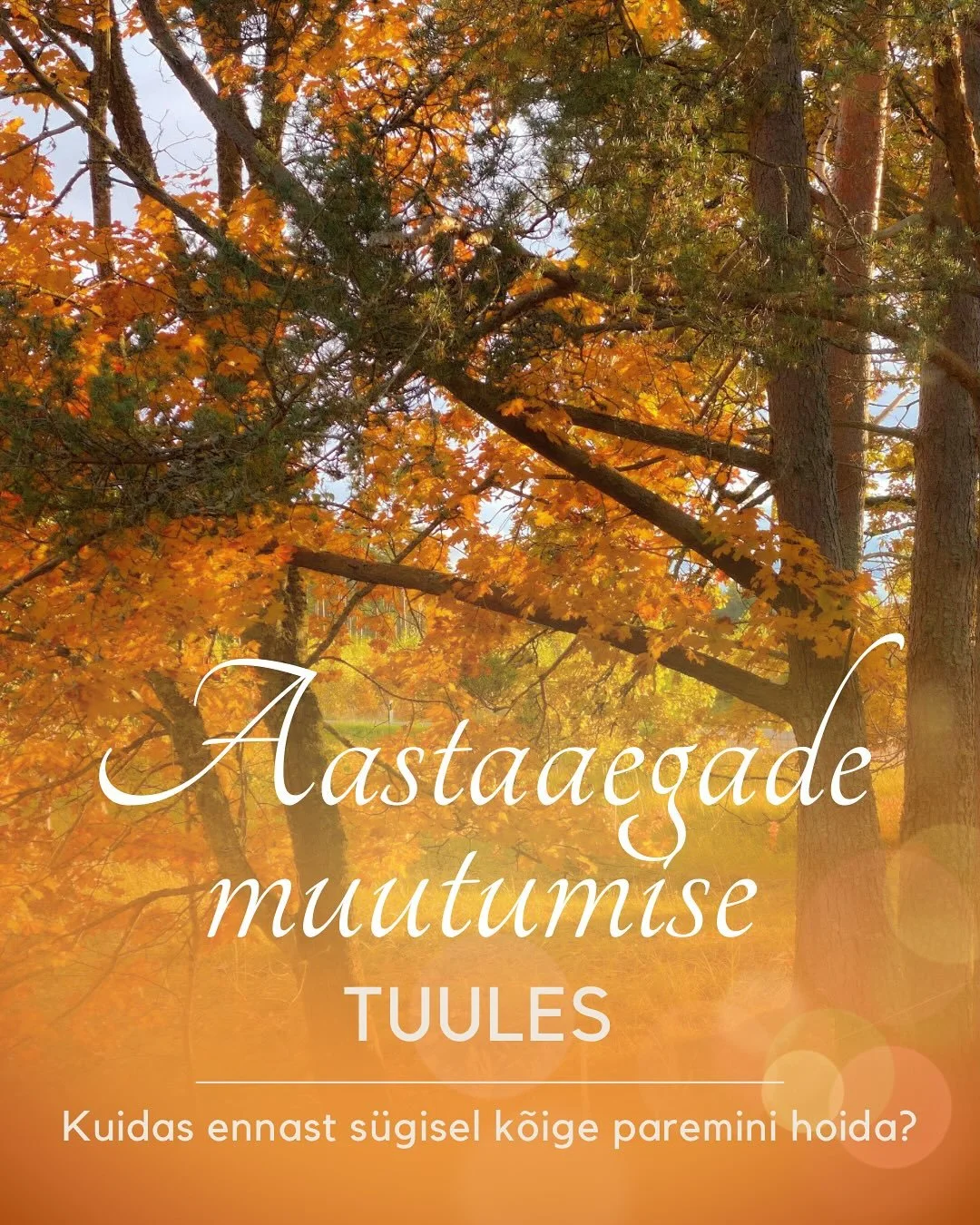 Kolmap&auml;eval oli mul Mizan teraapia viimane mentorlusk&otilde;ne, kus &otilde;petaja toonitas l&otilde;pus, et elage ikka aastaaegadele vastavalt - mitte ainult oma sisemise ts&uuml;kliga, vaid ka sellega, mis &otilde;ues toimub. S&otilde;nad lug