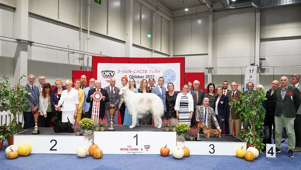 People standing on a podium with dogs and pumpkins at a dog show event.