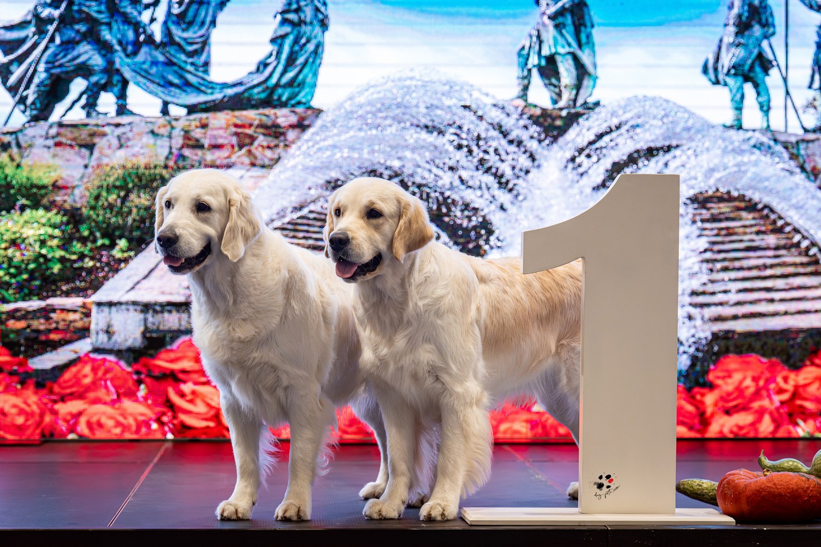 Two Golden Retriever puppies standing on a stage with a large number one sign and pumpkins, in front of a colorful backdrop of a water fountain and a building.