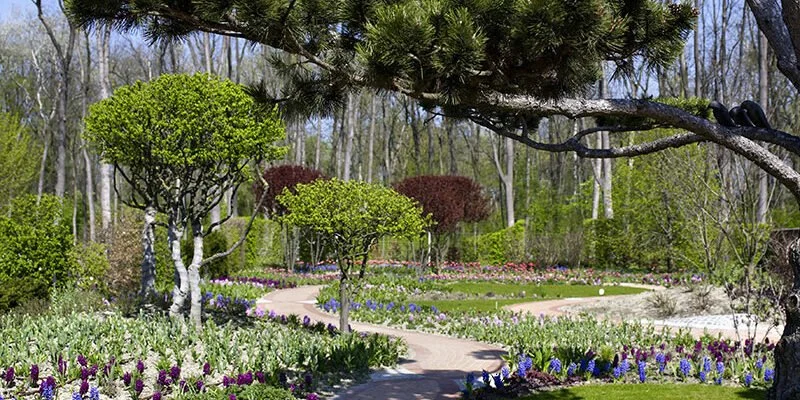 A landscaped garden with a winding stone pathway, various trimmed trees, colorful flower beds, and a large branch of an evergreen tree overhead in a natural setting.