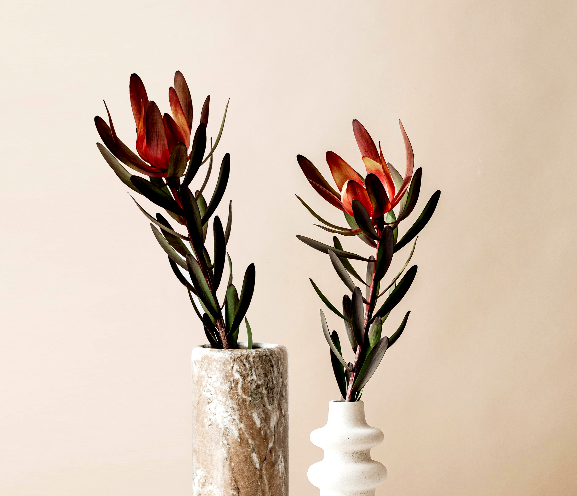 Two vases with red flowers and dark green leaves placed together, representing couples therapy.
