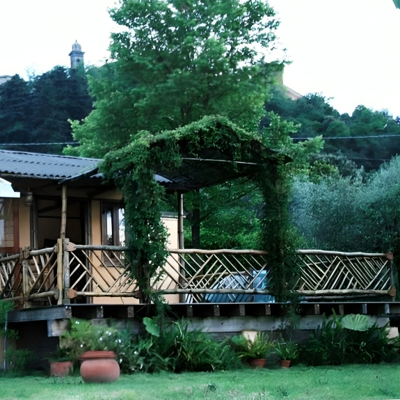 A wooden deck with a bamboo railing and a vine-covered pergola, surrounded by greenery and potted plants, with trees and a building in the background.