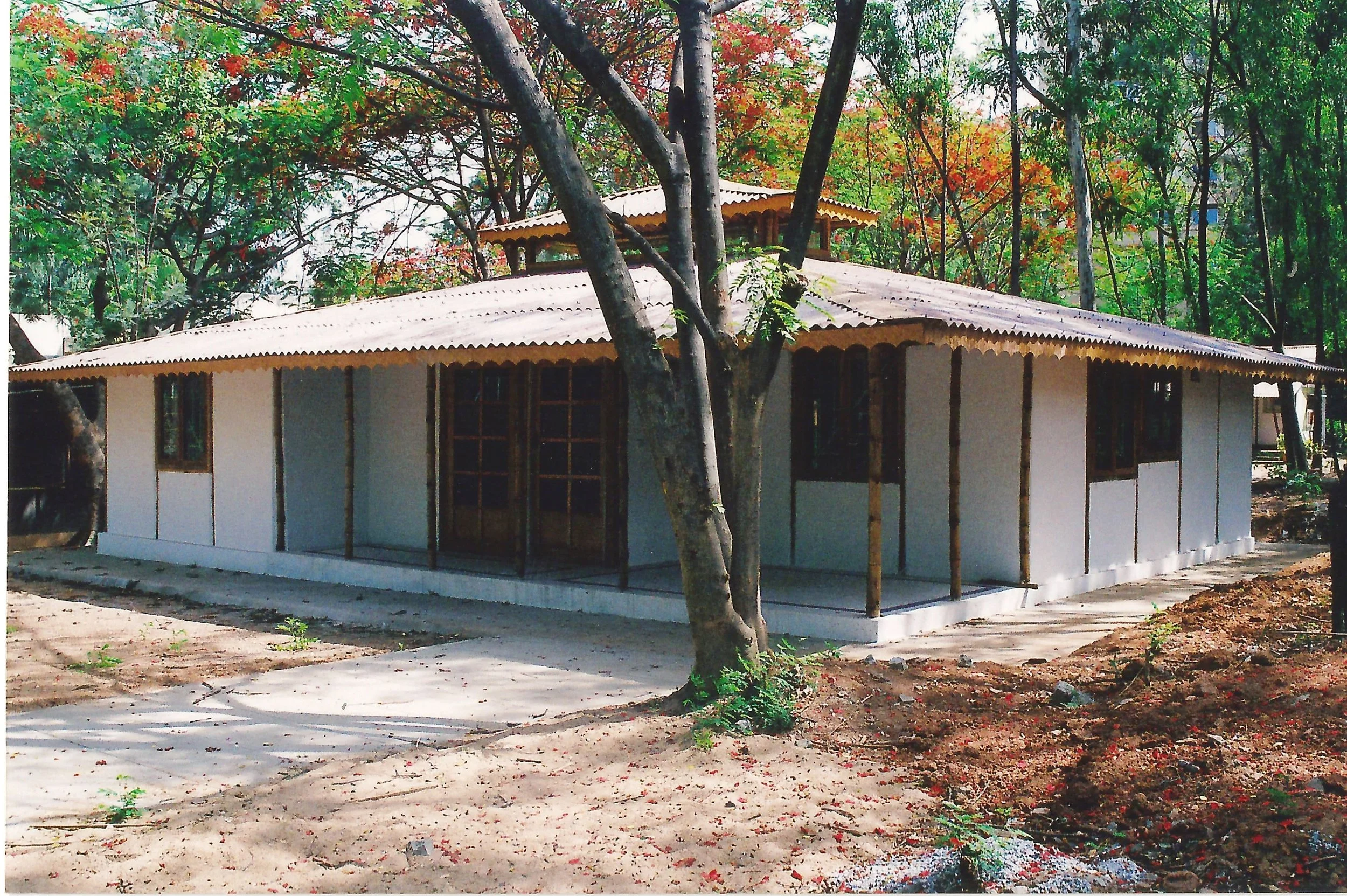A house under construction surrounded by trees with green and orange leaves, and a dirt yard with some small plants.
