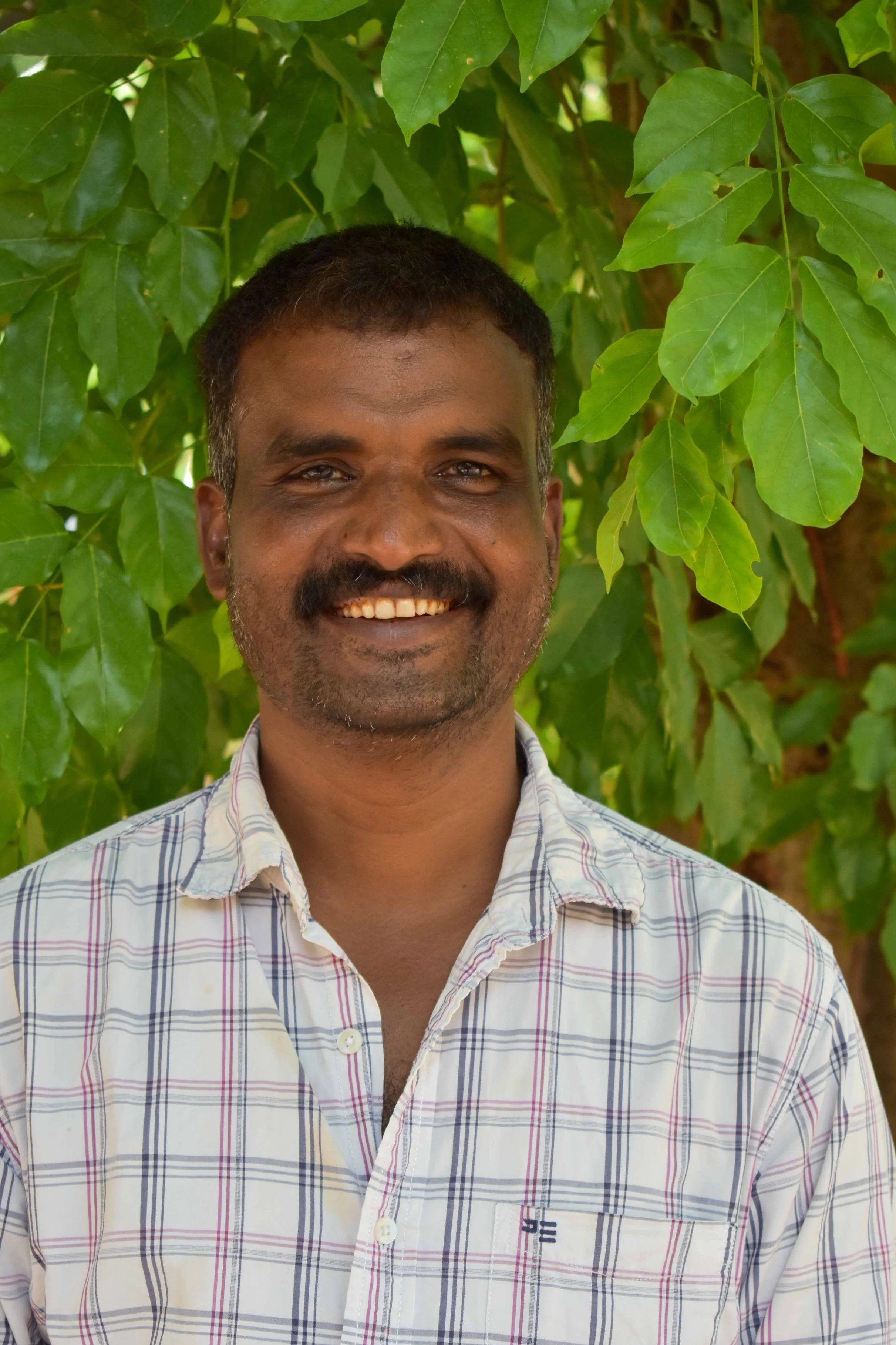 A smiling man with short dark hair and a beard, wearing a light-colored plaid shirt, standing in front of green leafy trees.