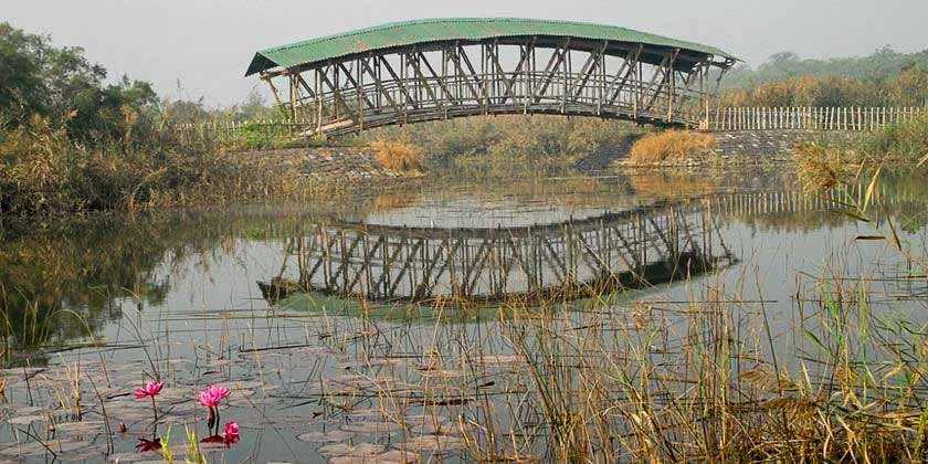 Yamuna Biodiversity Park