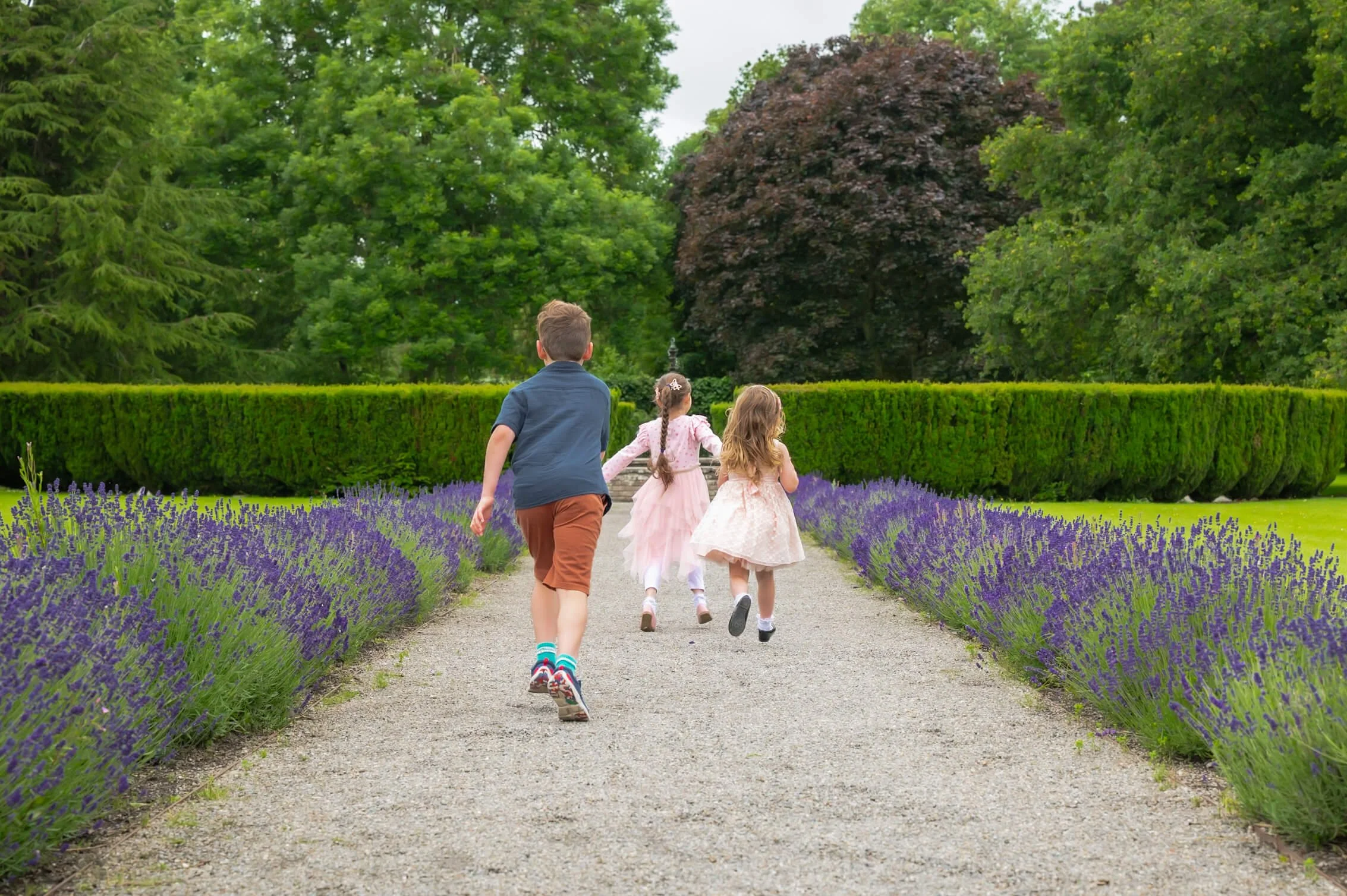 The 5 Best Locations for a Family Photoshoot in South Dublin