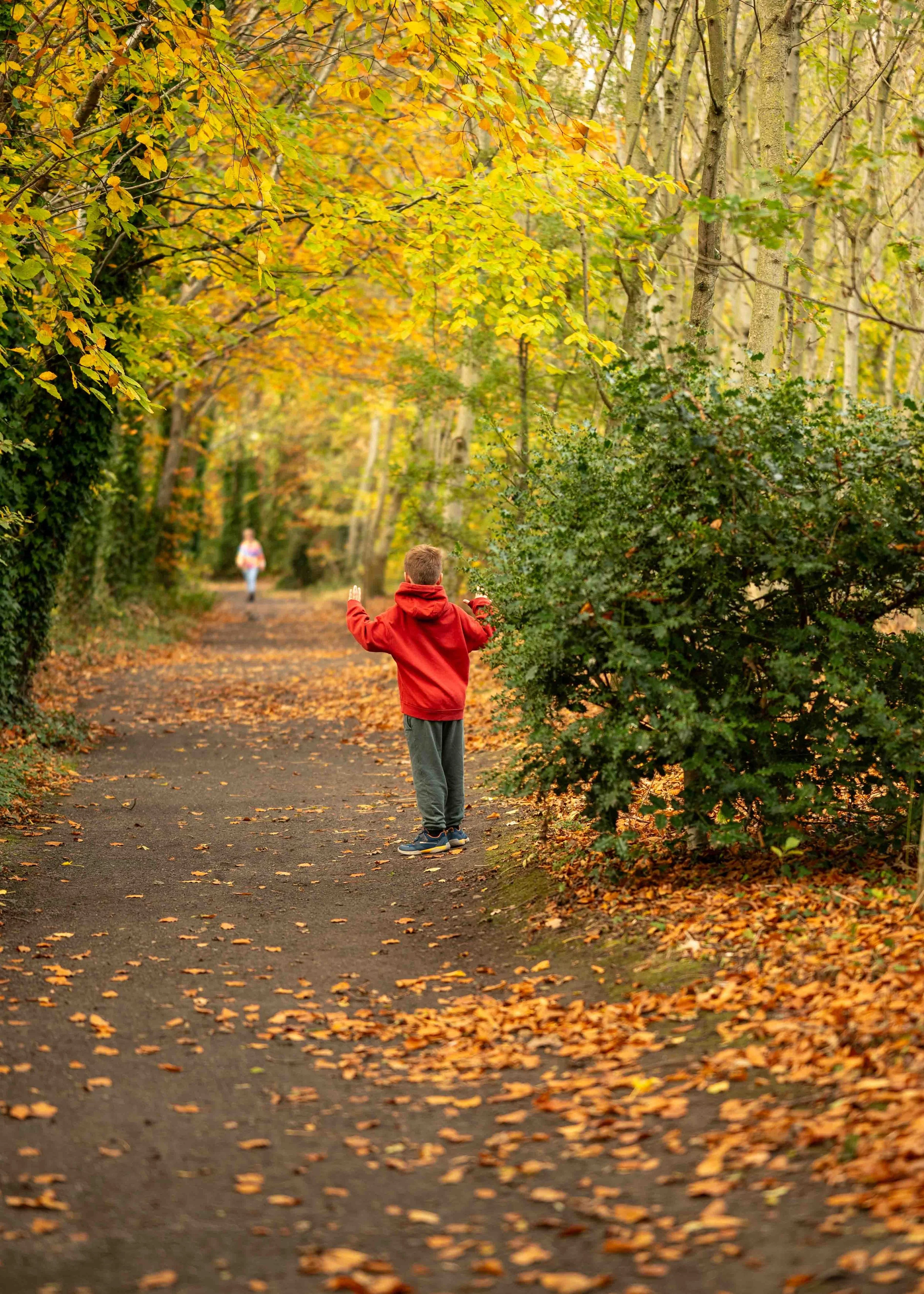 Things to Do in Dublin During the Mid-Term