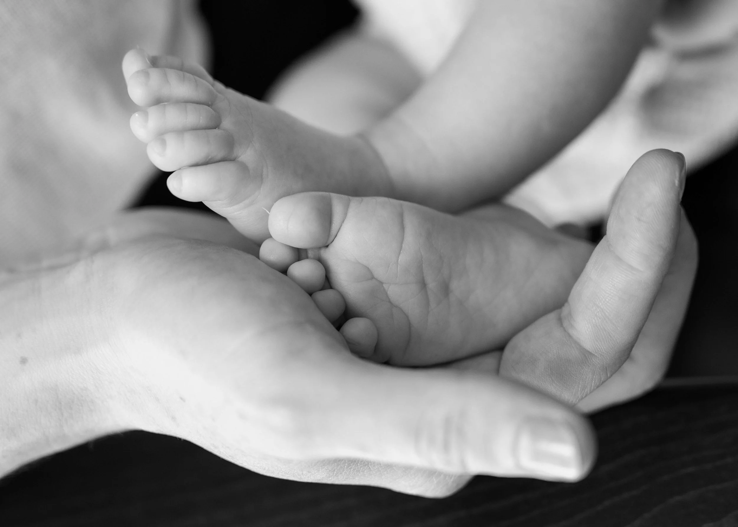 What to Expect at Your Newborn Session