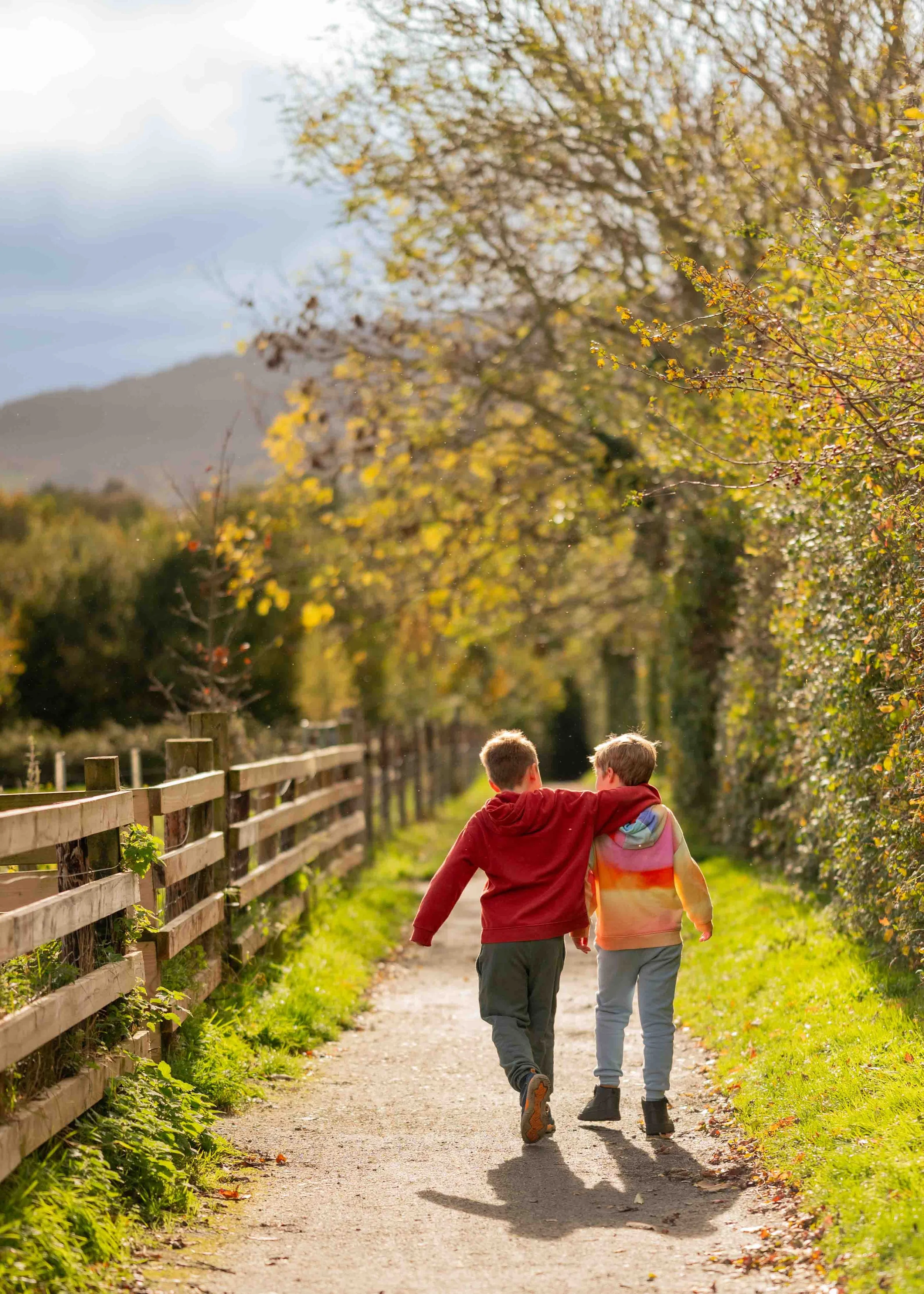 Mini-Shoots, What Are They?